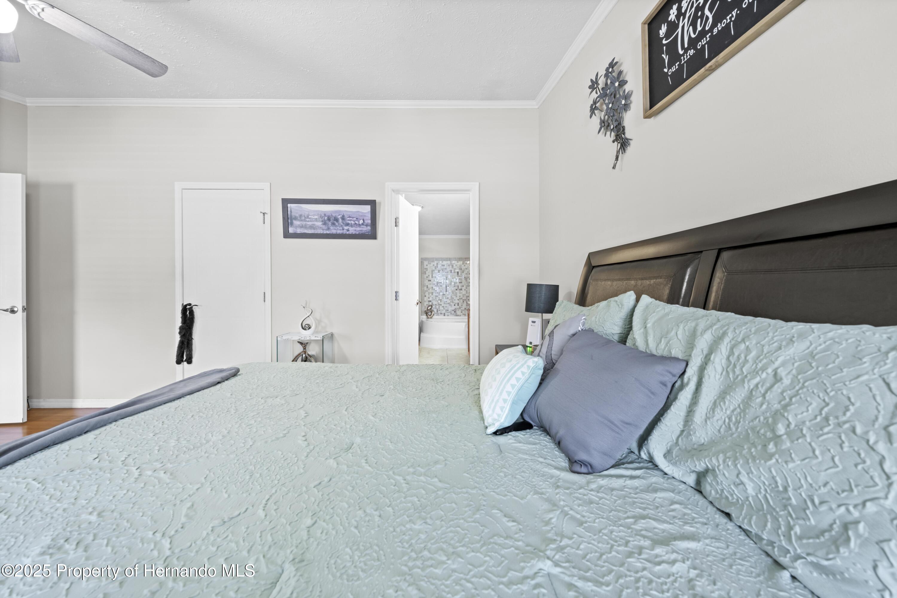 9223 Basil Street, Brooksville, Florida image 14