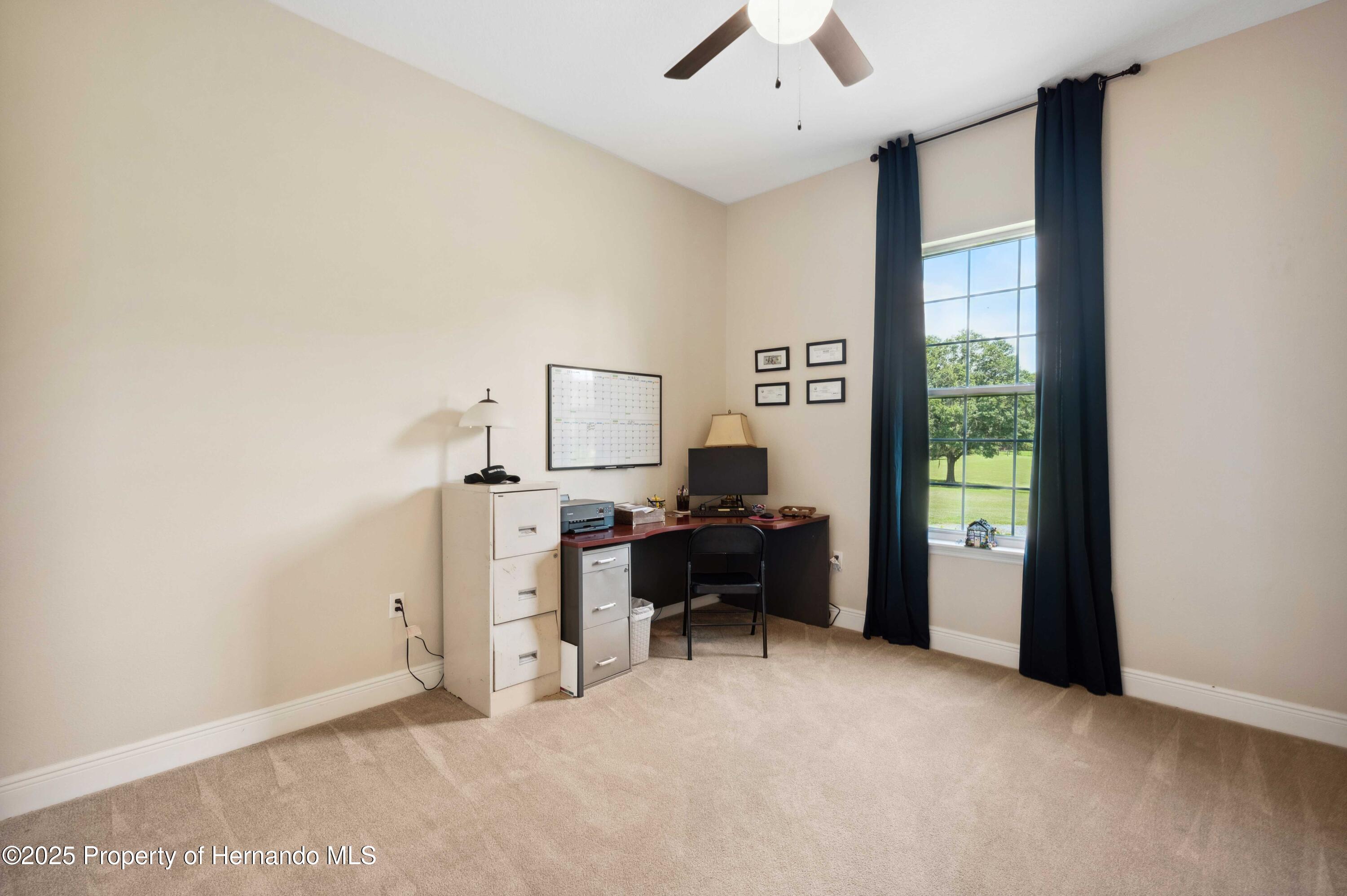 36431 Florrie Mae Lane, Dade City, Florida image 31