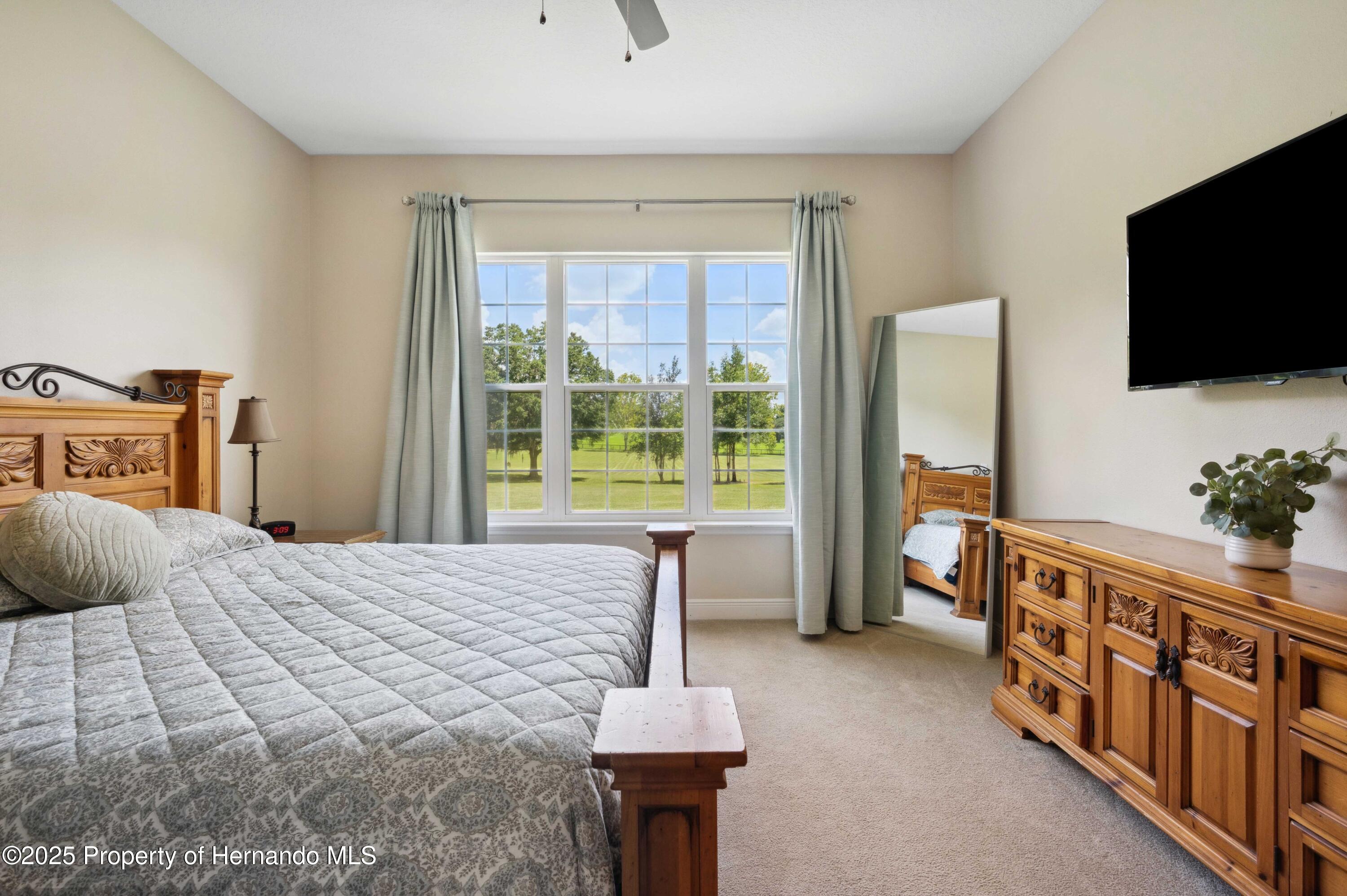 36431 Florrie Mae Lane, Dade City, Florida image 22