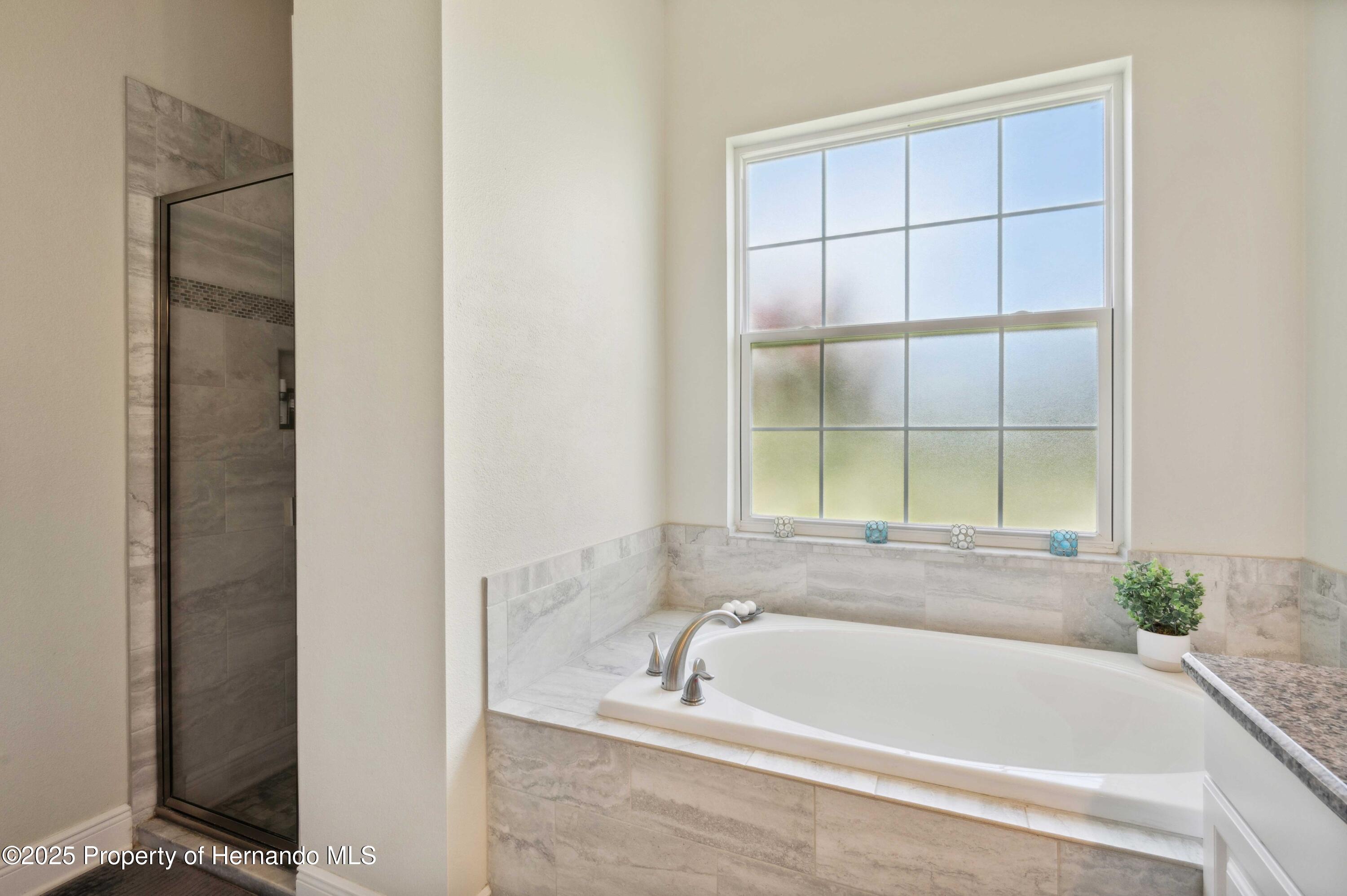 36431 Florrie Mae Lane, Dade City, Florida image 27