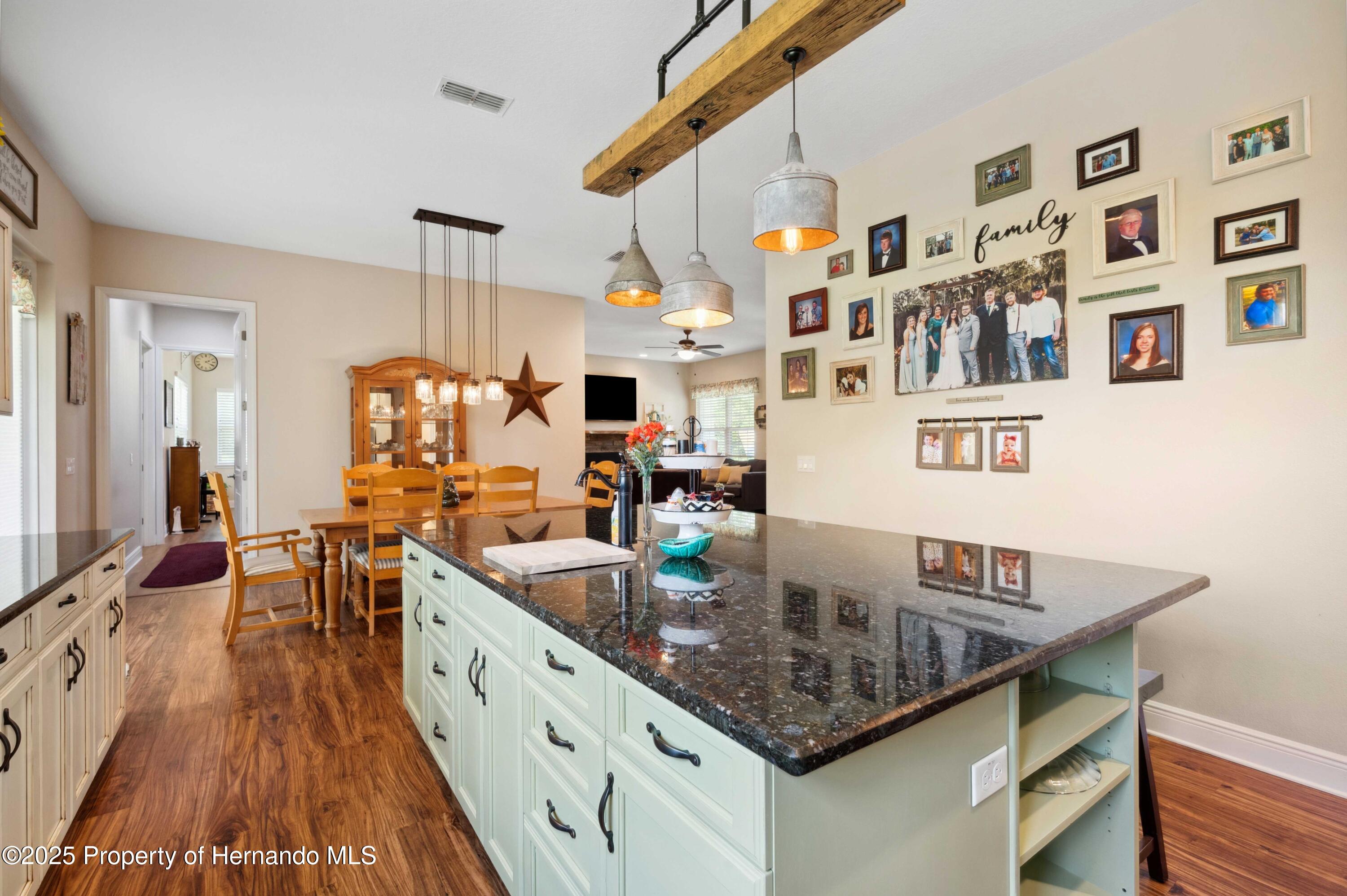 36431 Florrie Mae Lane, Dade City, Florida image 11