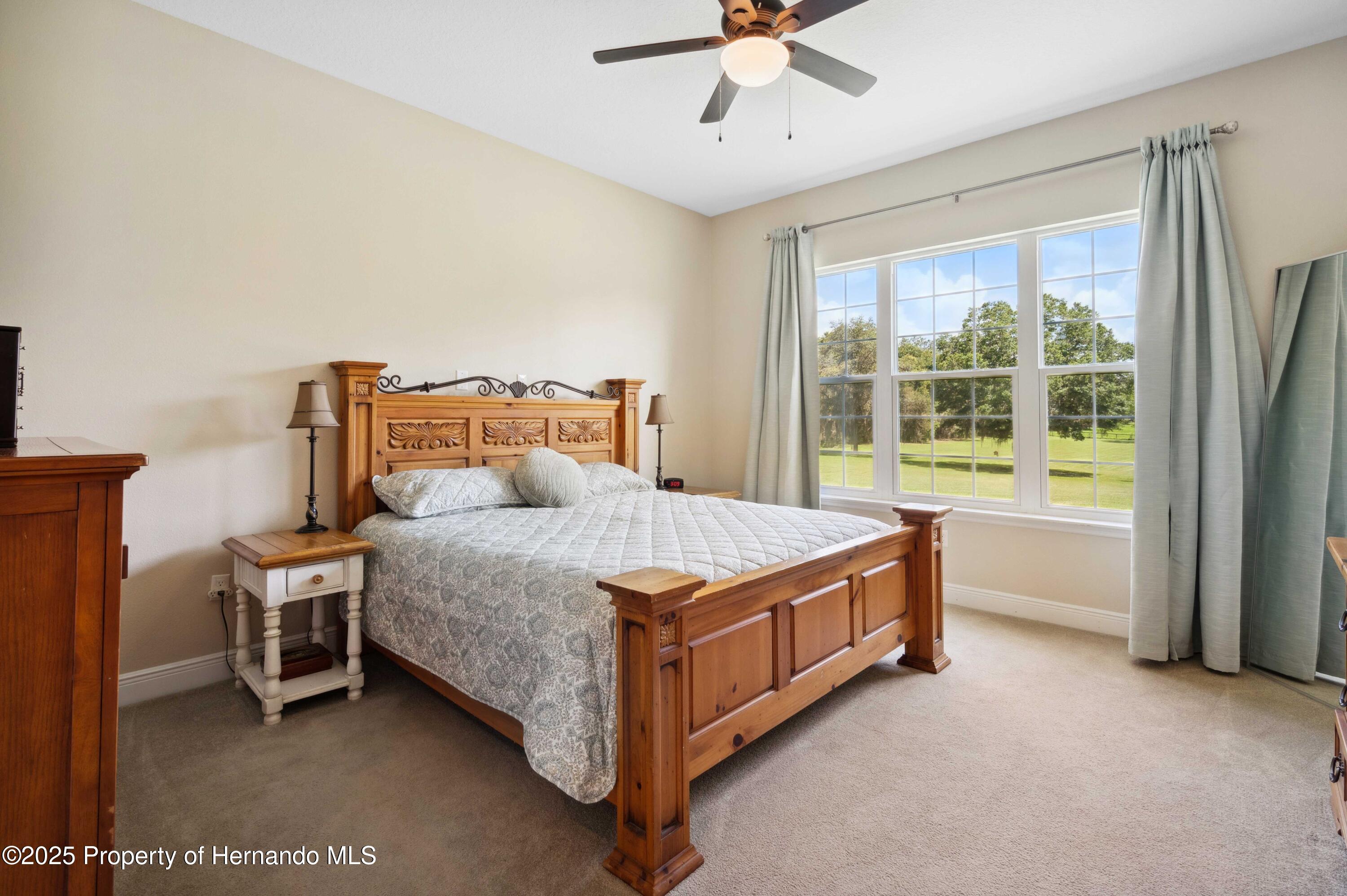 36431 Florrie Mae Lane, Dade City, Florida image 21