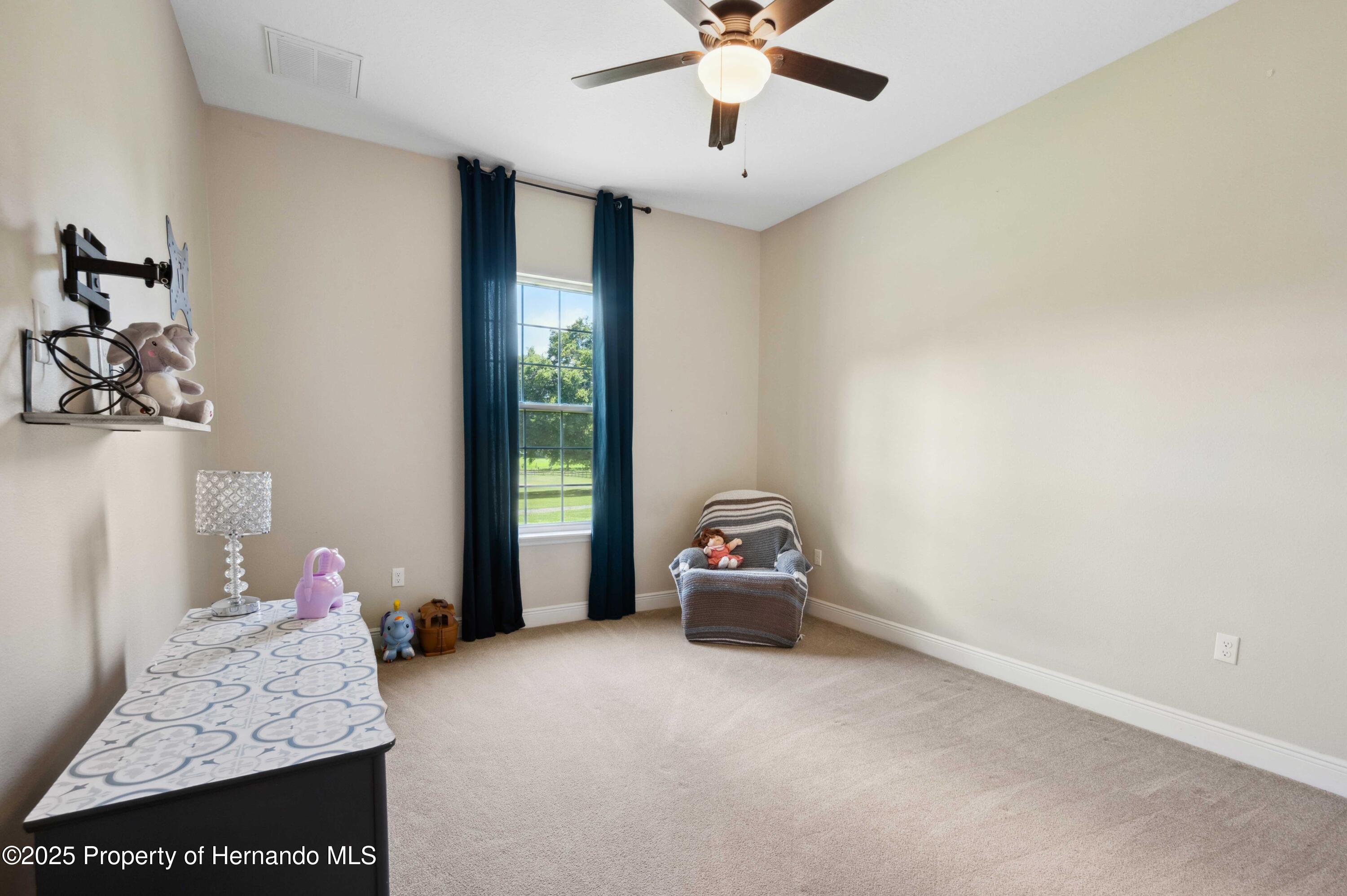 36431 Florrie Mae Lane, Dade City, Florida image 30