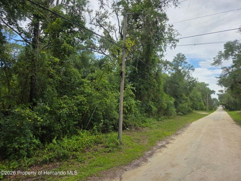 Vacant Land For Sale - Pointview Road<br/> Brooksville, FL 34601