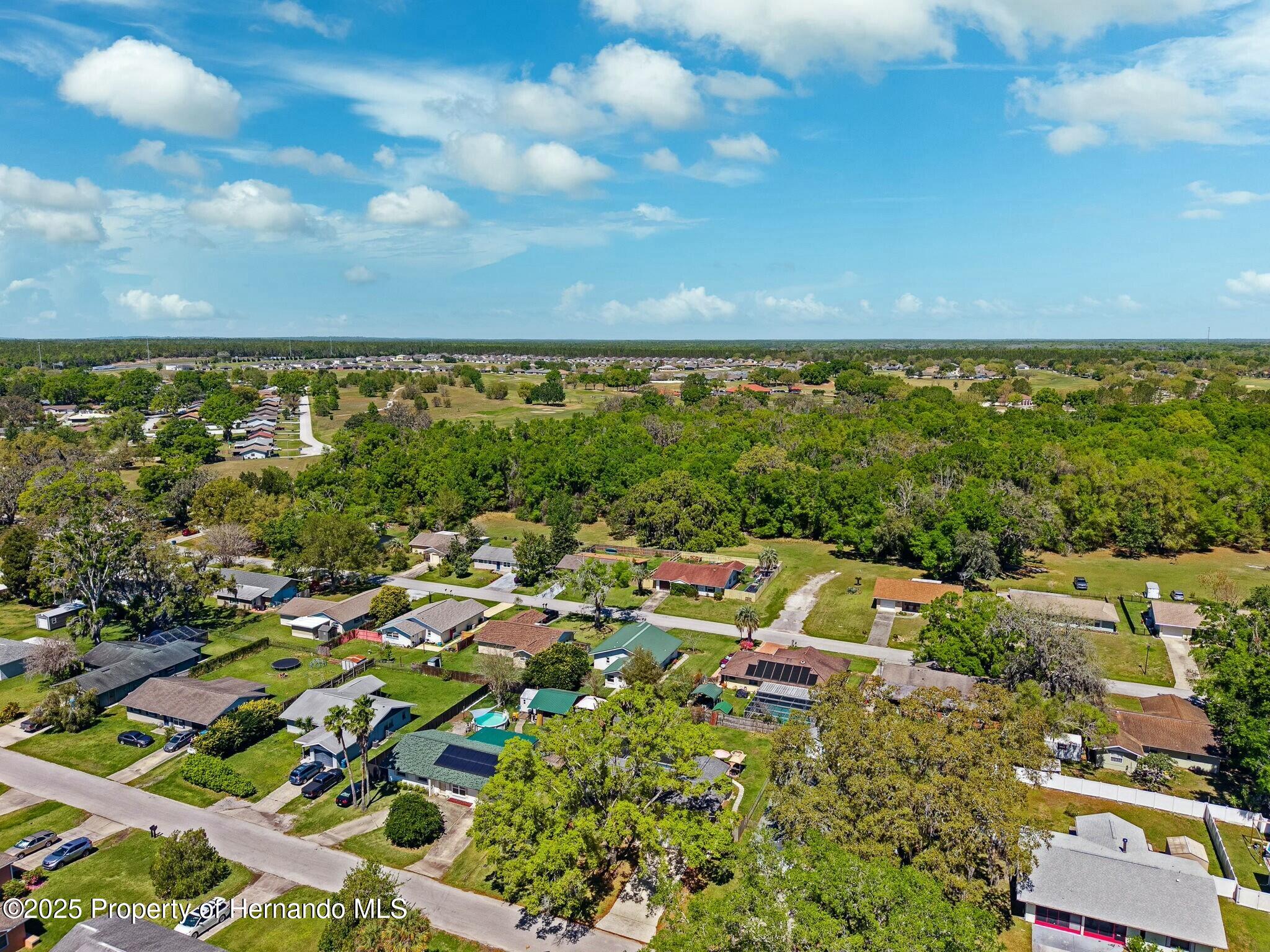 31225 Stoney Brook Drive, Brooksville, Florida image 40