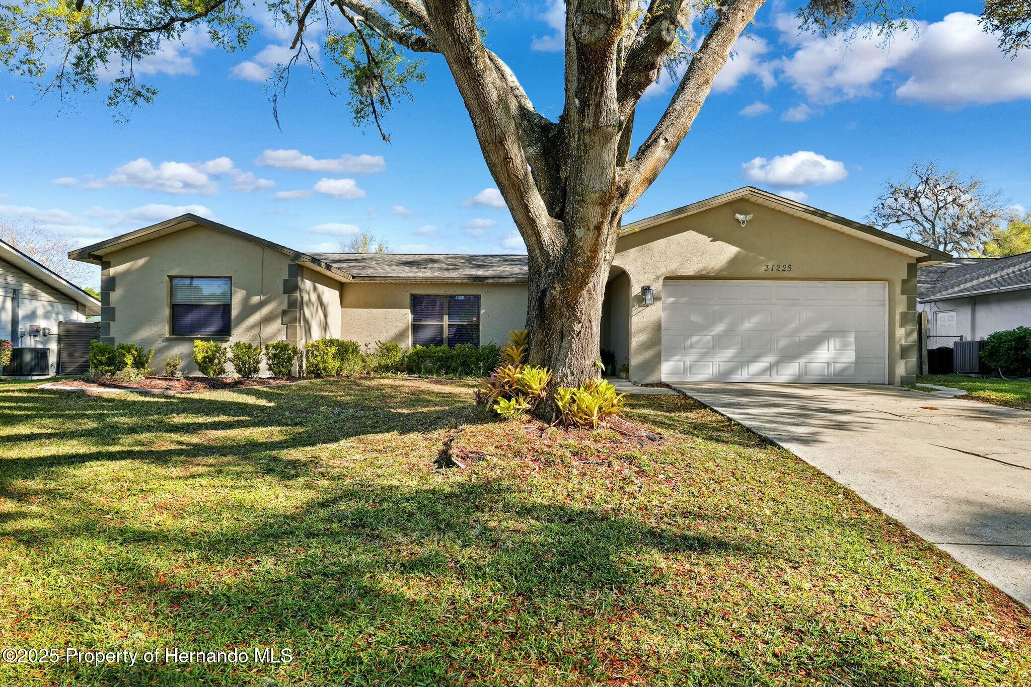 31225 Stoney Brook Drive, Brooksville, Florida image 5