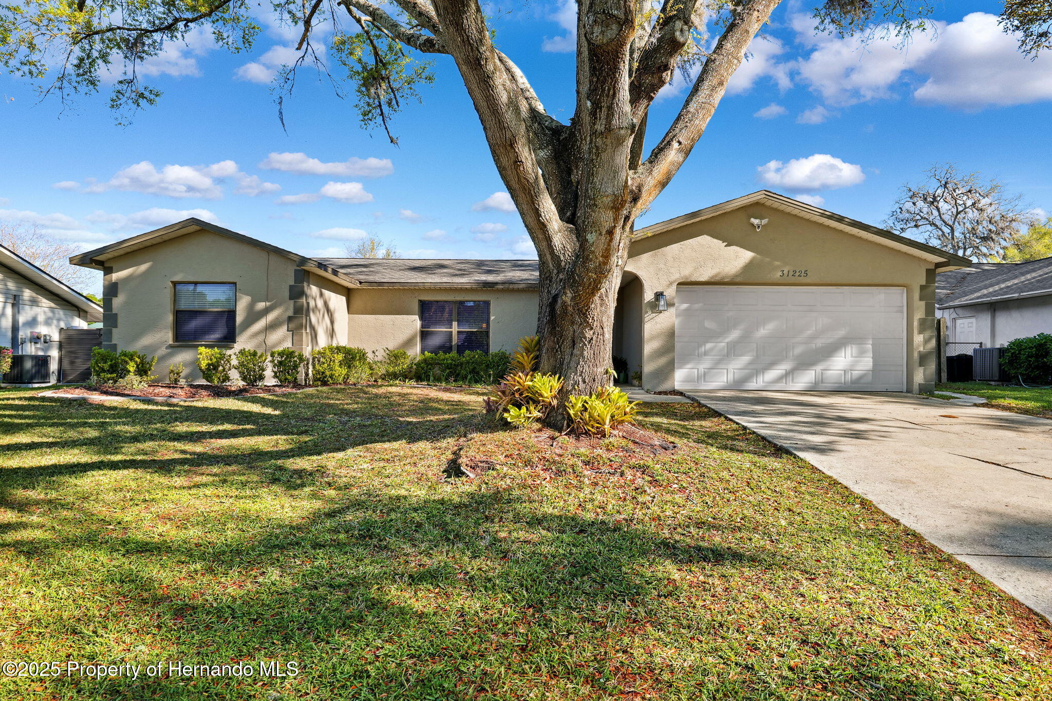 31225 Stoney Brook Drive, Brooksville, Florida image 2