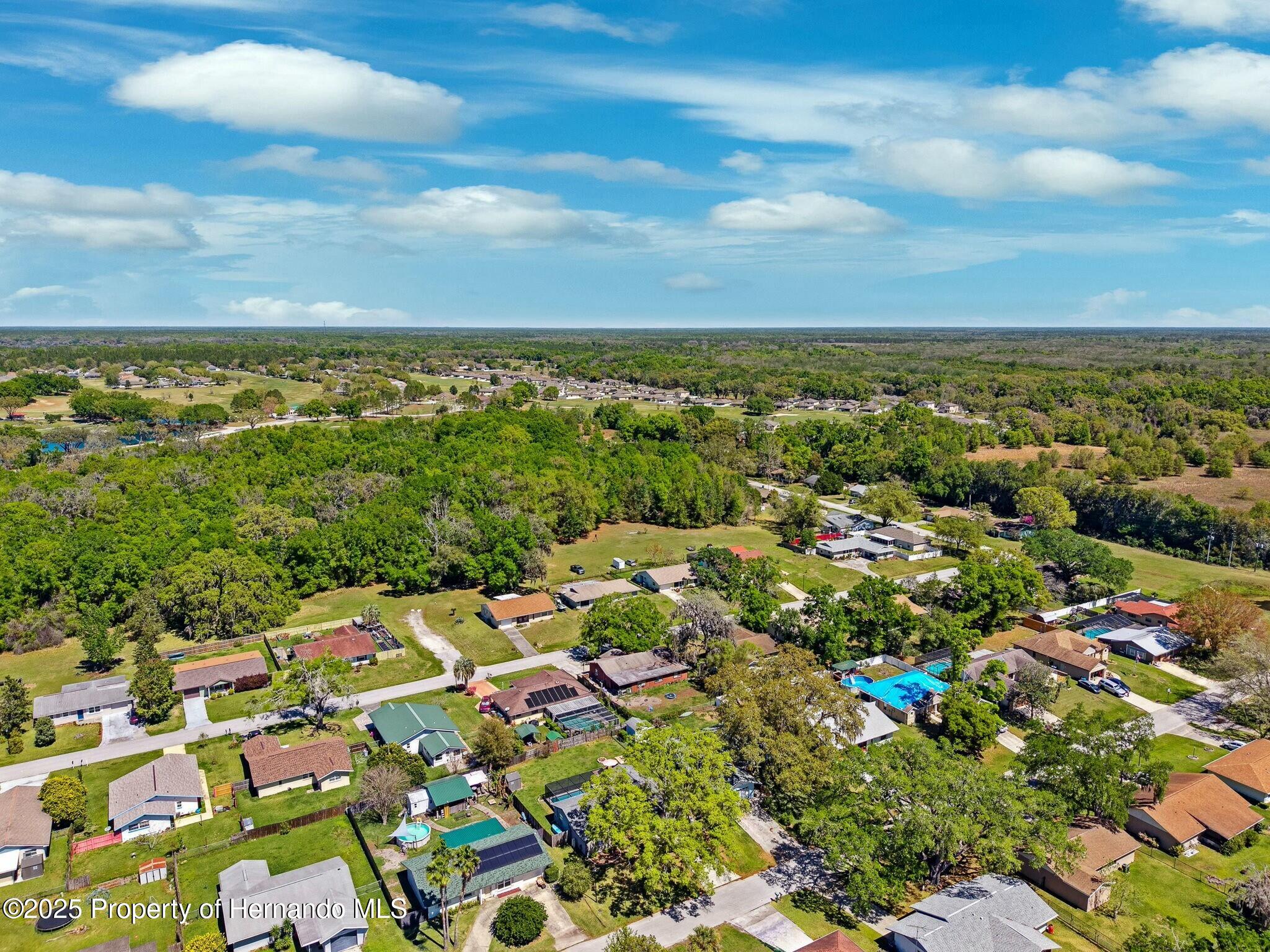 31225 Stoney Brook Drive, Brooksville, Florida image 39