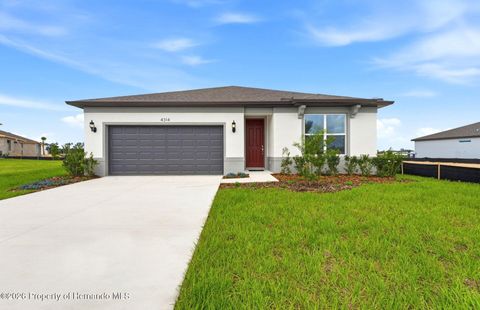 Homes For Sale - 4314 Obsidian Drive<br/> Spring Hill, FL 34609