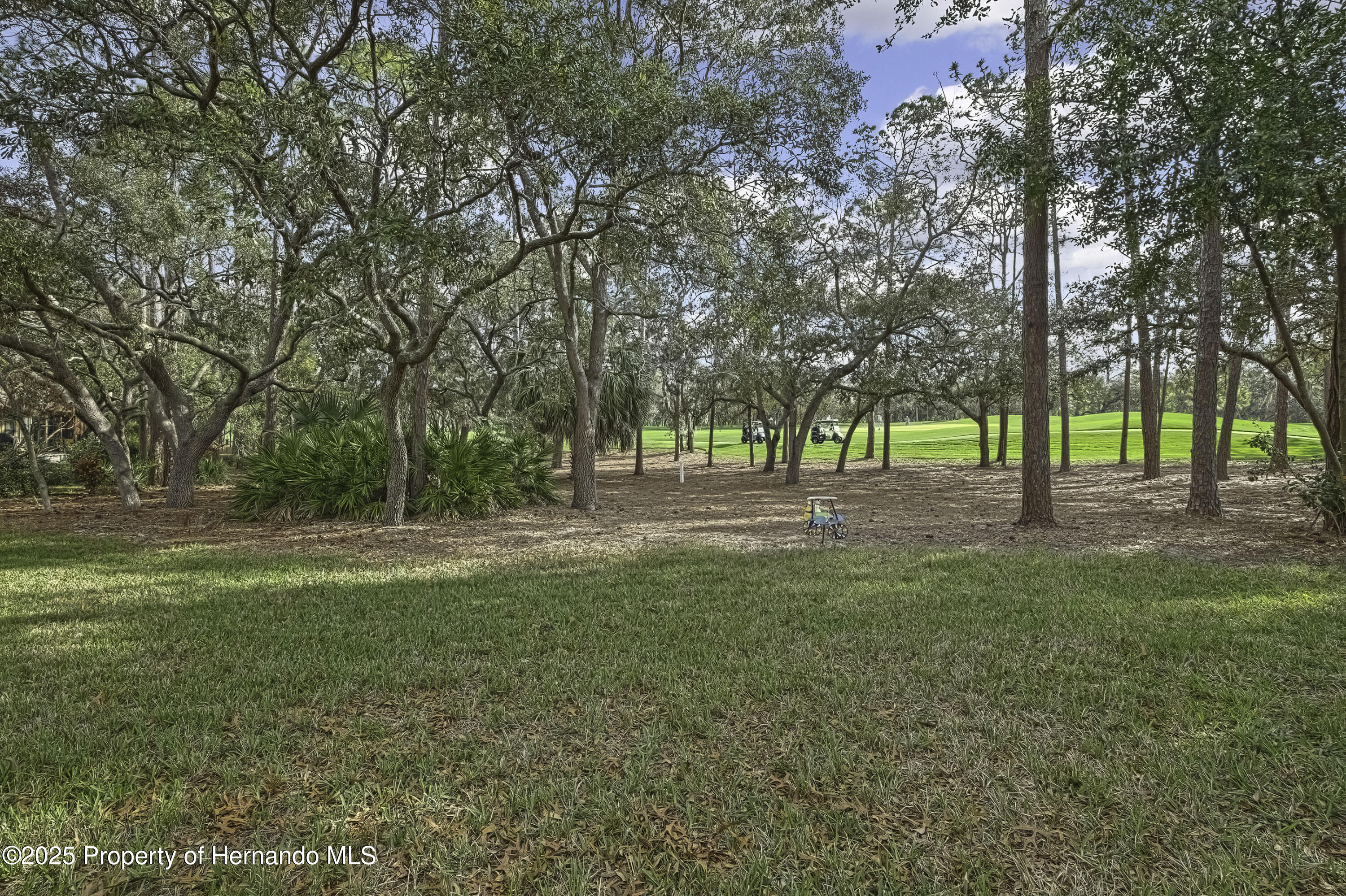 2224 Vista Royal Way, Spring Hill, Florida image 35