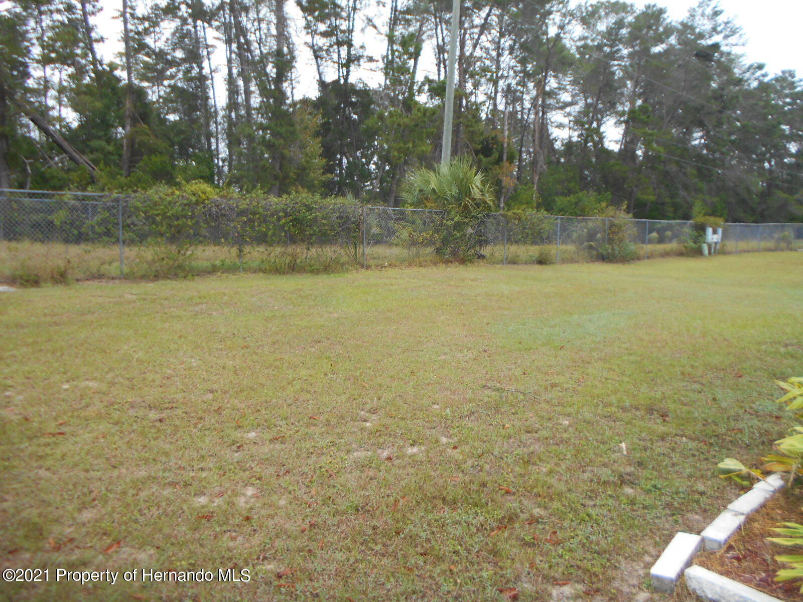 9307 Scepter Avenue, Brooksville, Florida image 3