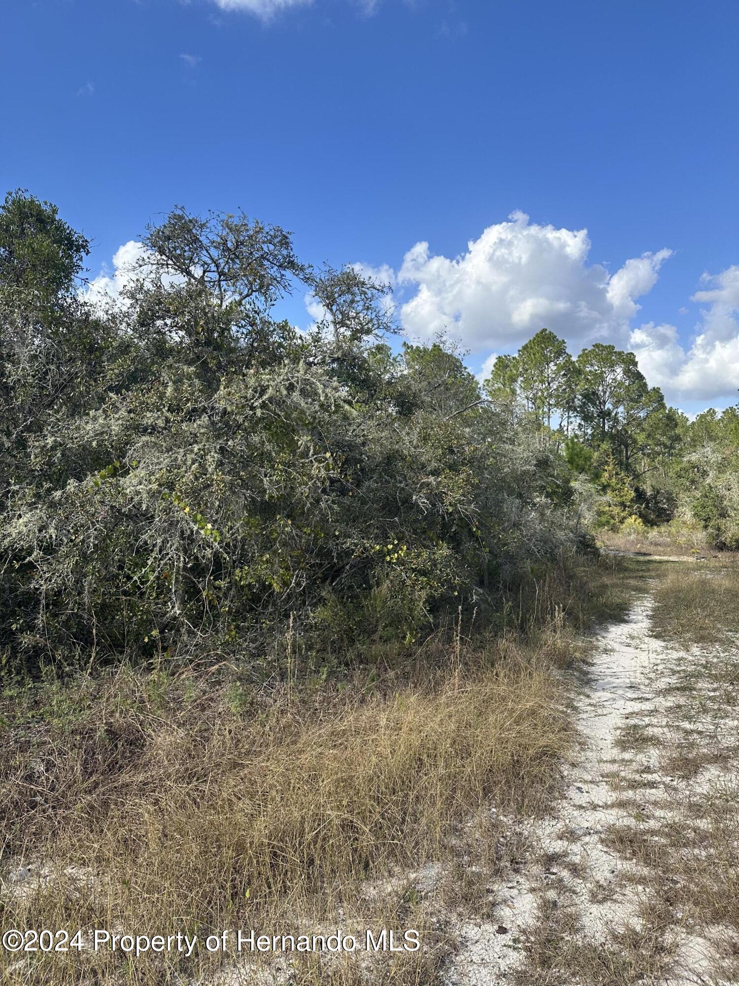 00 Coldrock Drive, Ridge Manor, Florida image 6