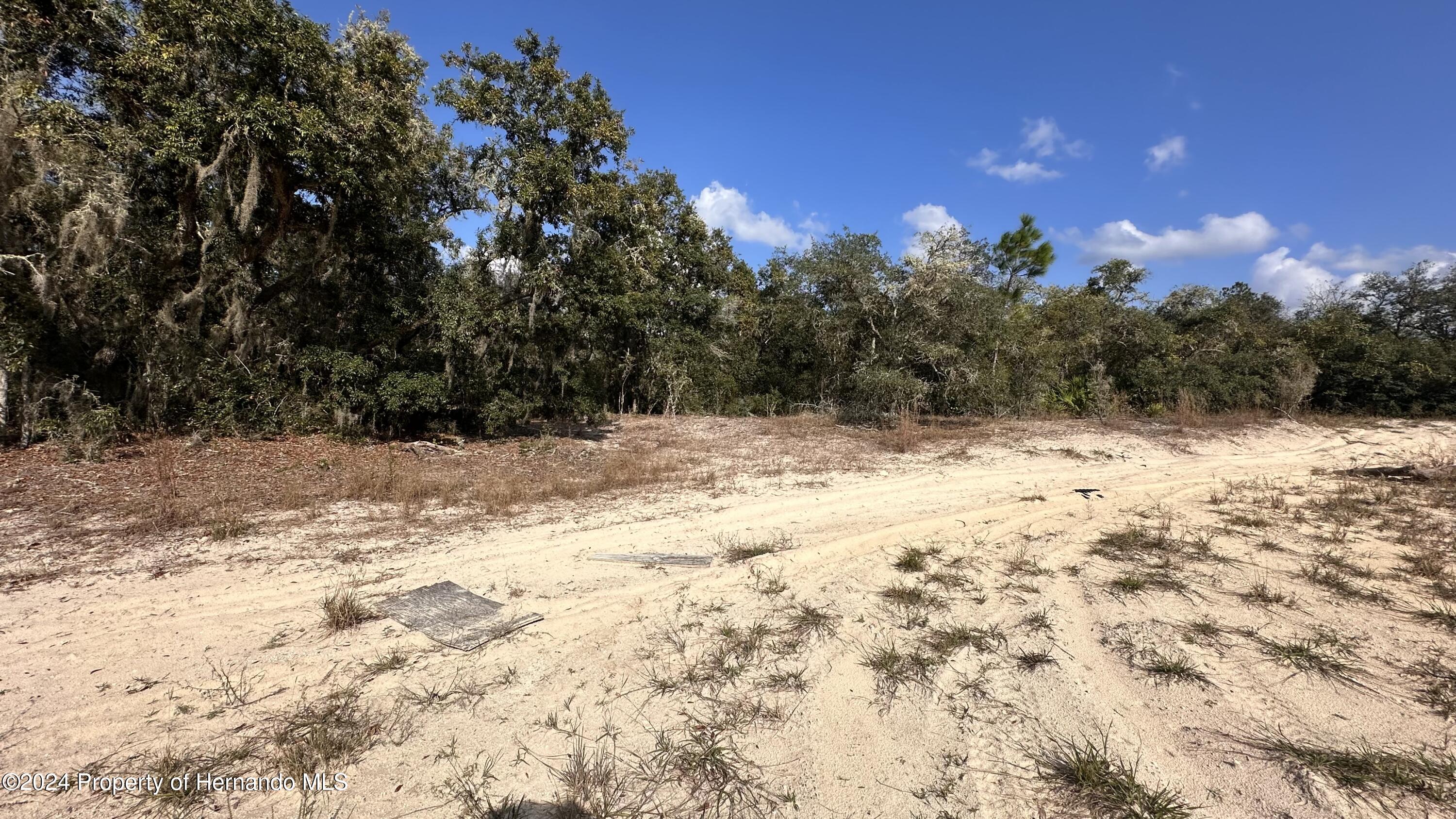 00 Coldrock Drive, Ridge Manor, Florida image 9