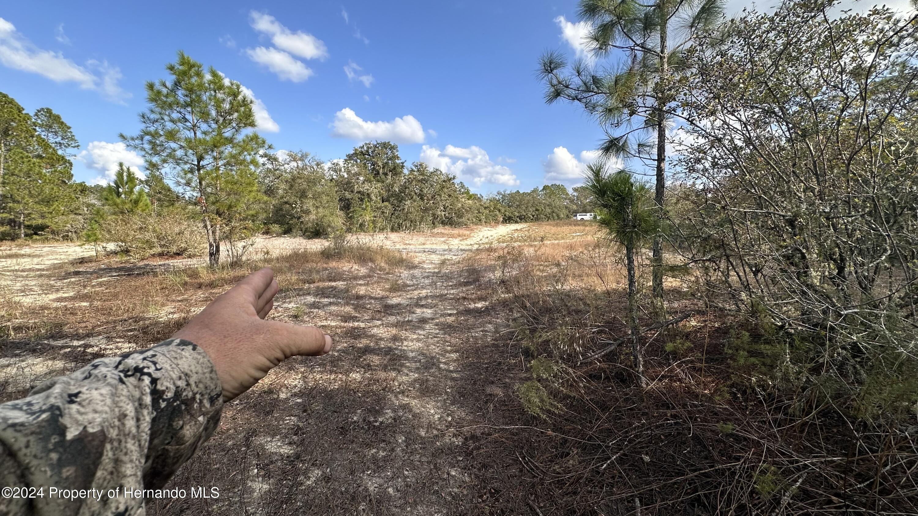 00 Coldrock Drive, Ridge Manor, Florida image 8