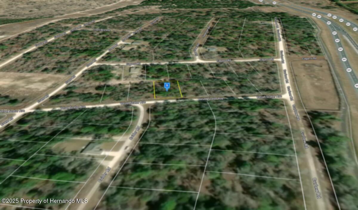 Velvet Scoter Avenue, Brooksville, Florida image 6