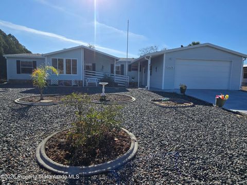 Homes For Sale - 9175 Denmarsh Drive<br/> Brooksville, FL 34613