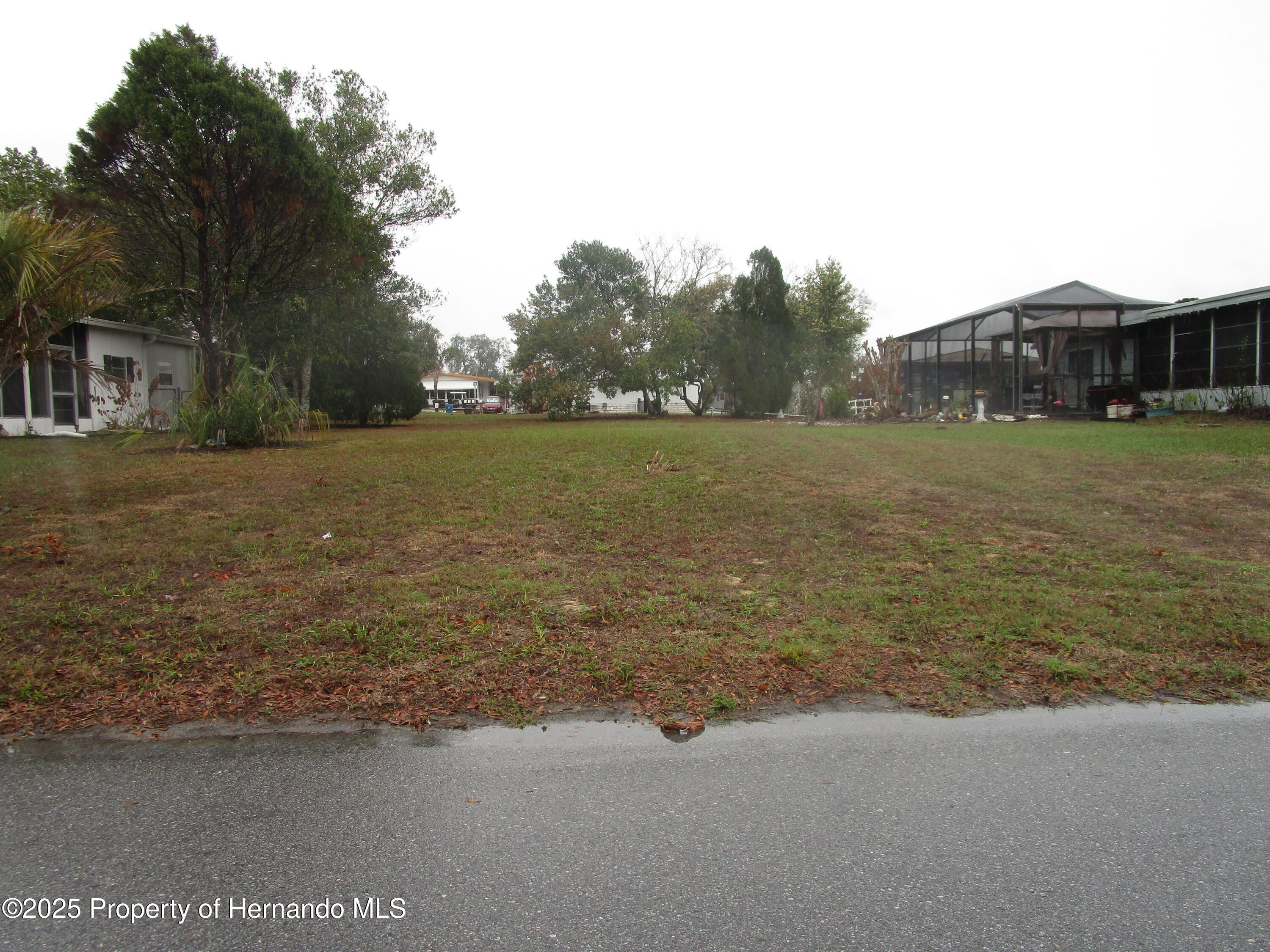 14349 Sandhurst Street, Brooksville, Florida image 1