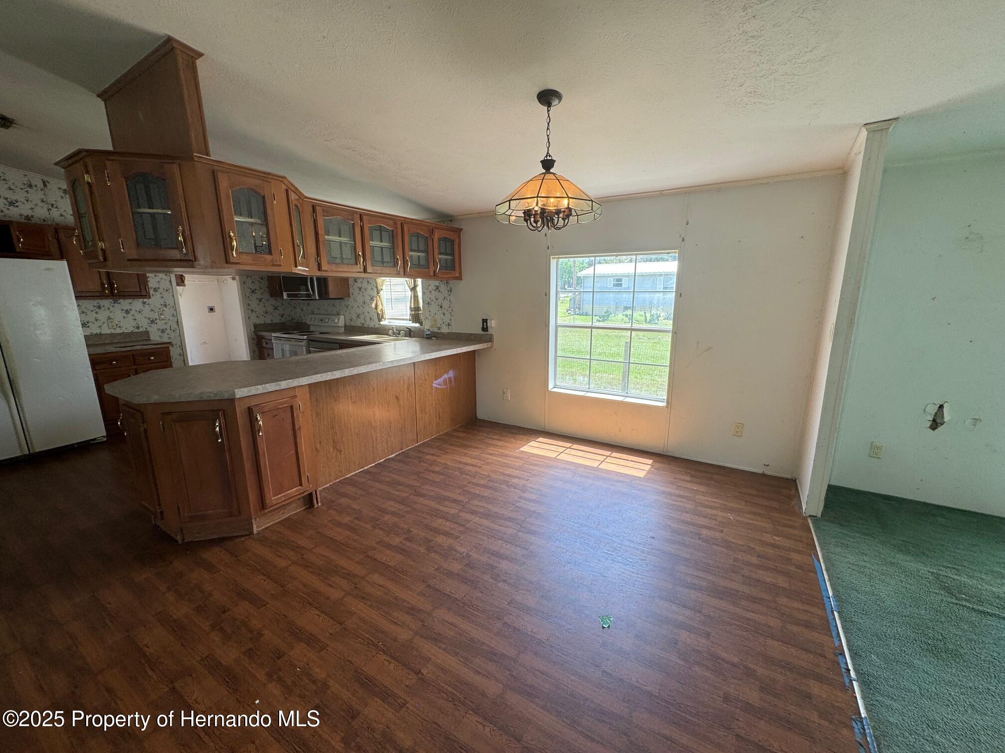 14915 Douglas Street, Dade City, Florida image 5