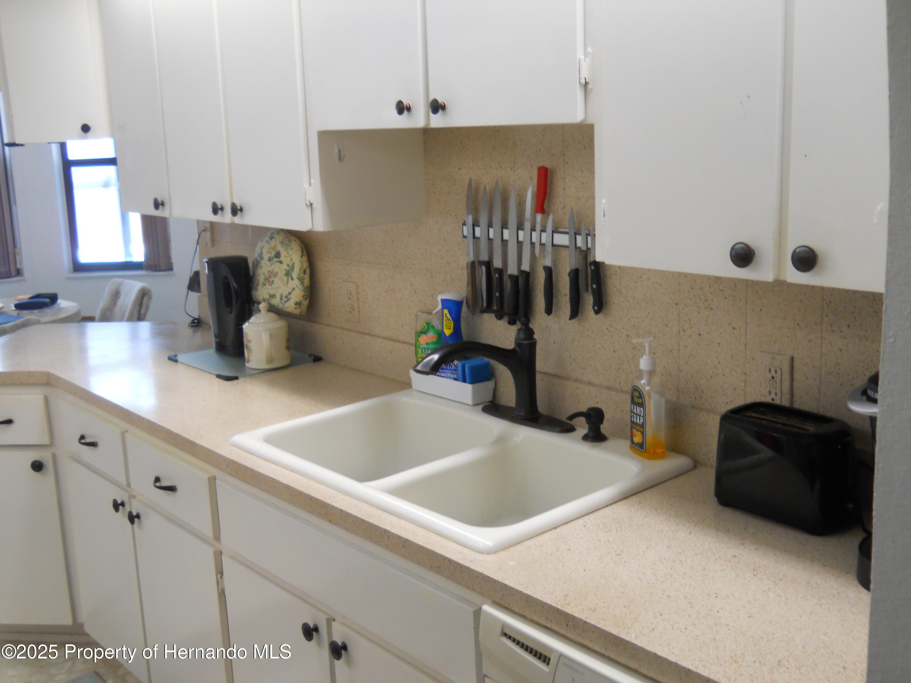 9033 Nakoma Way, Weeki Wachee, Florida image 6