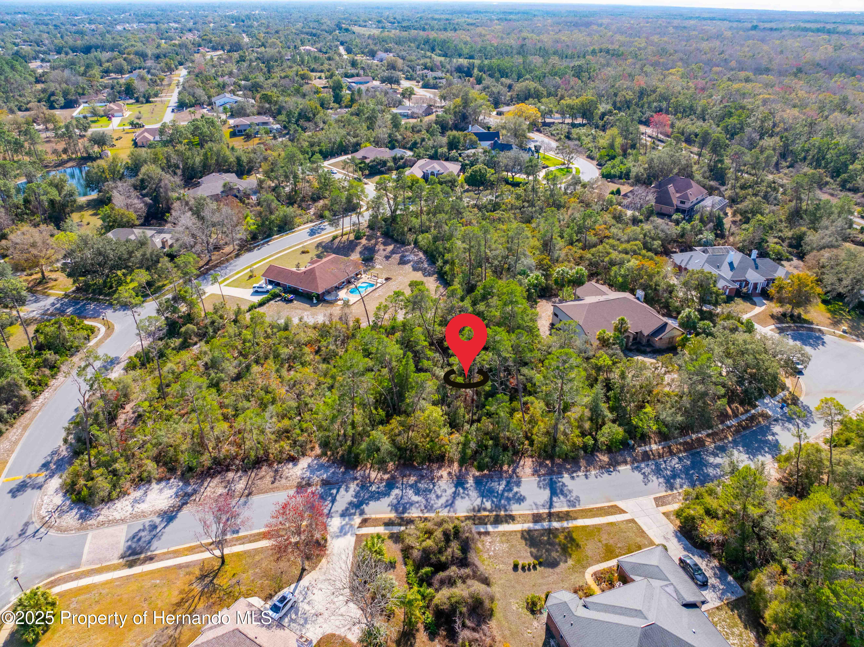 7262 Hidden Cove Court, Spring Hill, Florida image 2