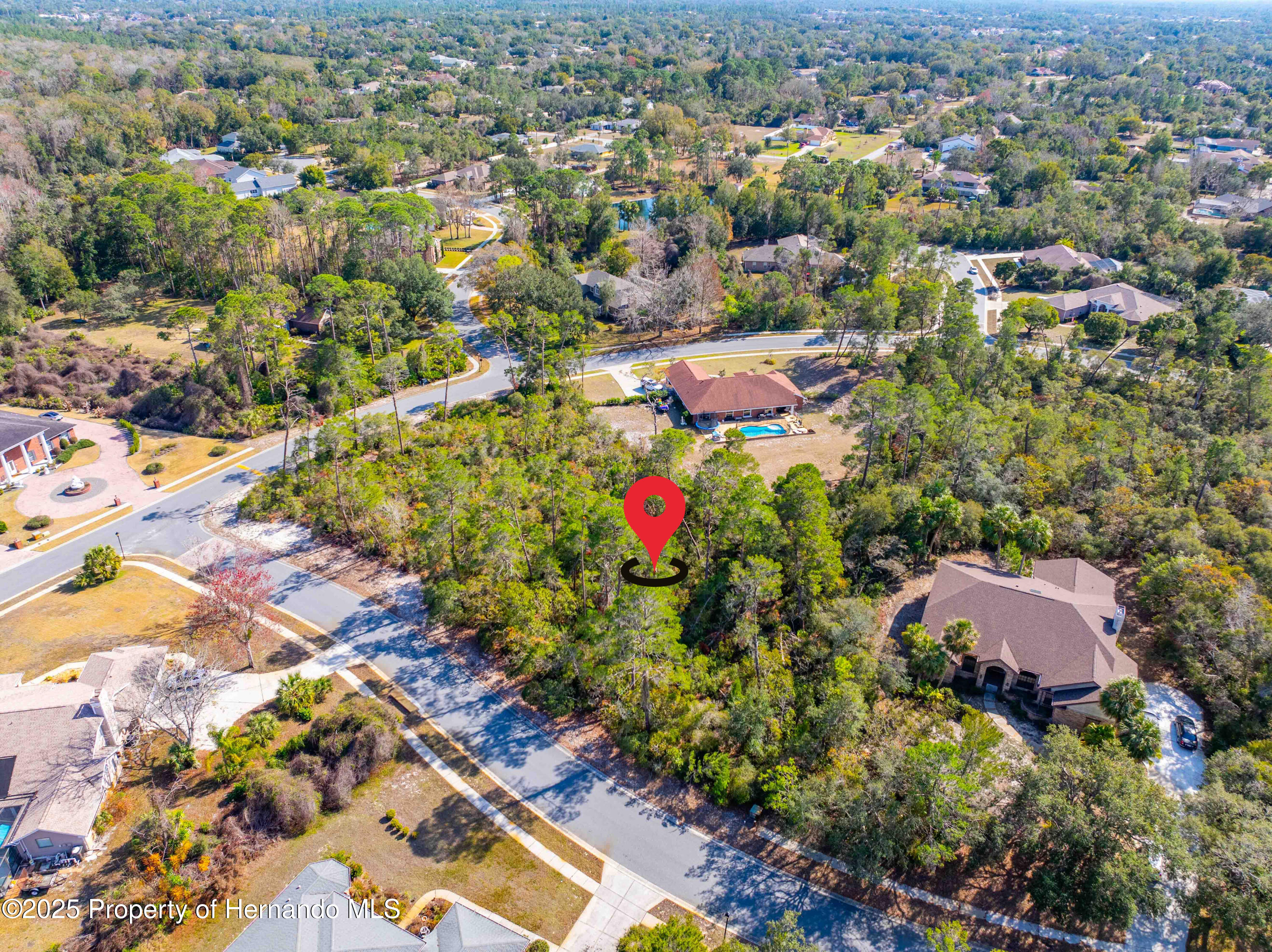 7262 Hidden Cove Court, Spring Hill, Florida image 3