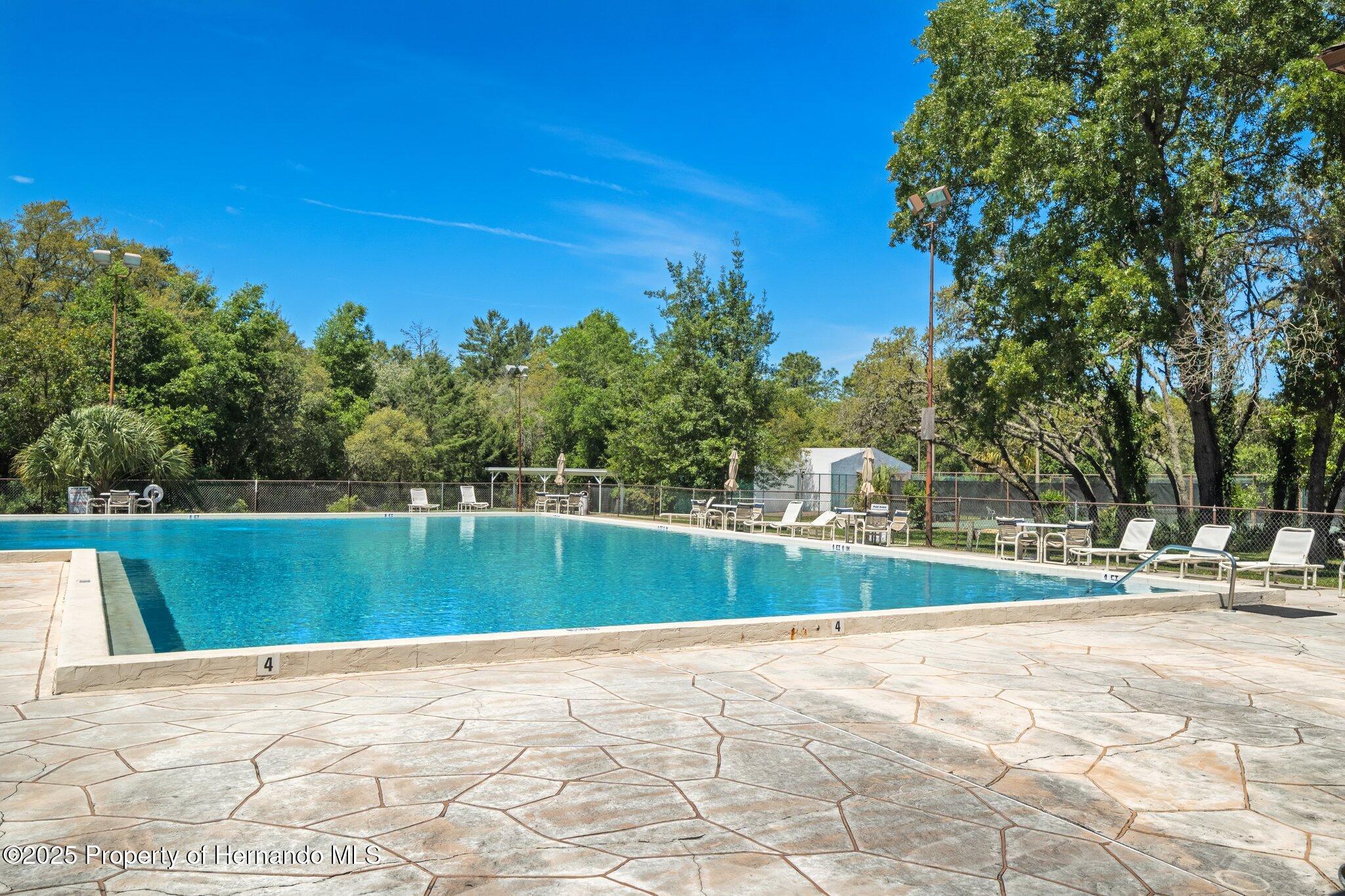 17 Myosotis Court, Homosassa, Florida image 4