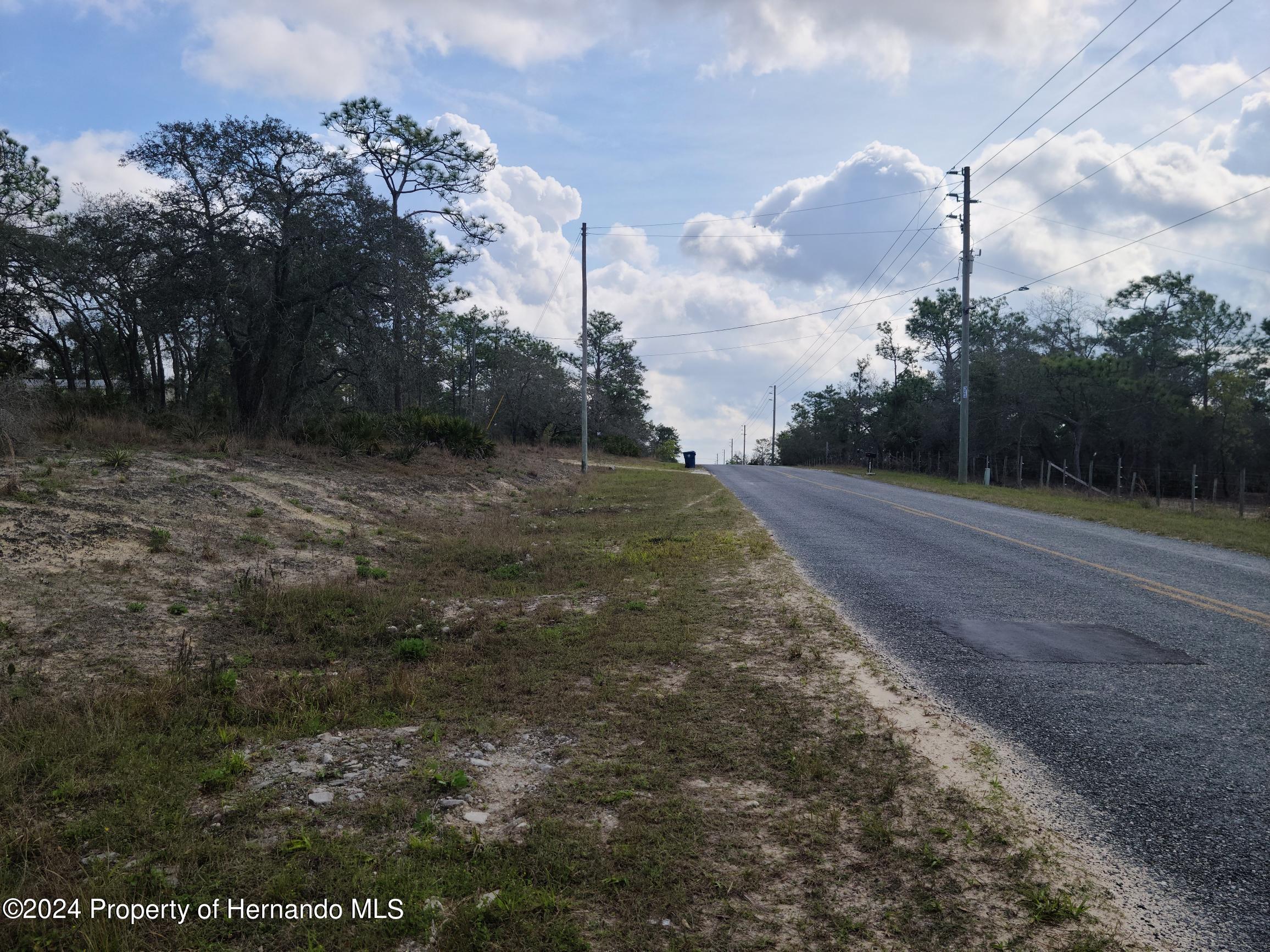 Thrasher Avenue, Weeki Wachee, Florida image 4