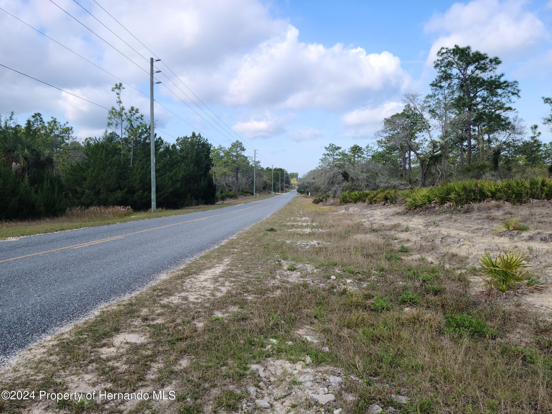 Thrasher Avenue, Weeki Wachee, Florida image 5