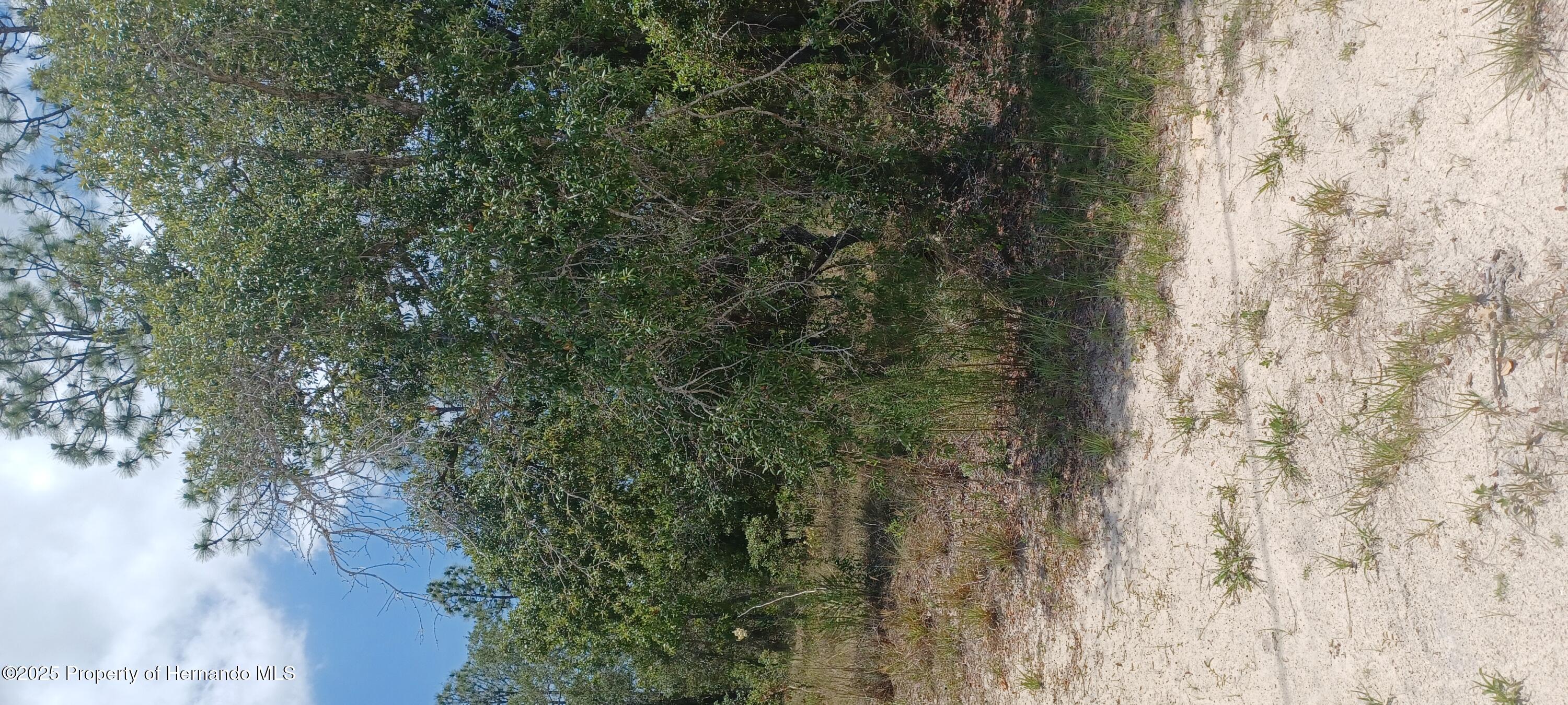 Ocala, Florida 34480, United States, 4 Bedrooms Bedrooms, ,2 BathroomsBathrooms,Residential,Active,113886