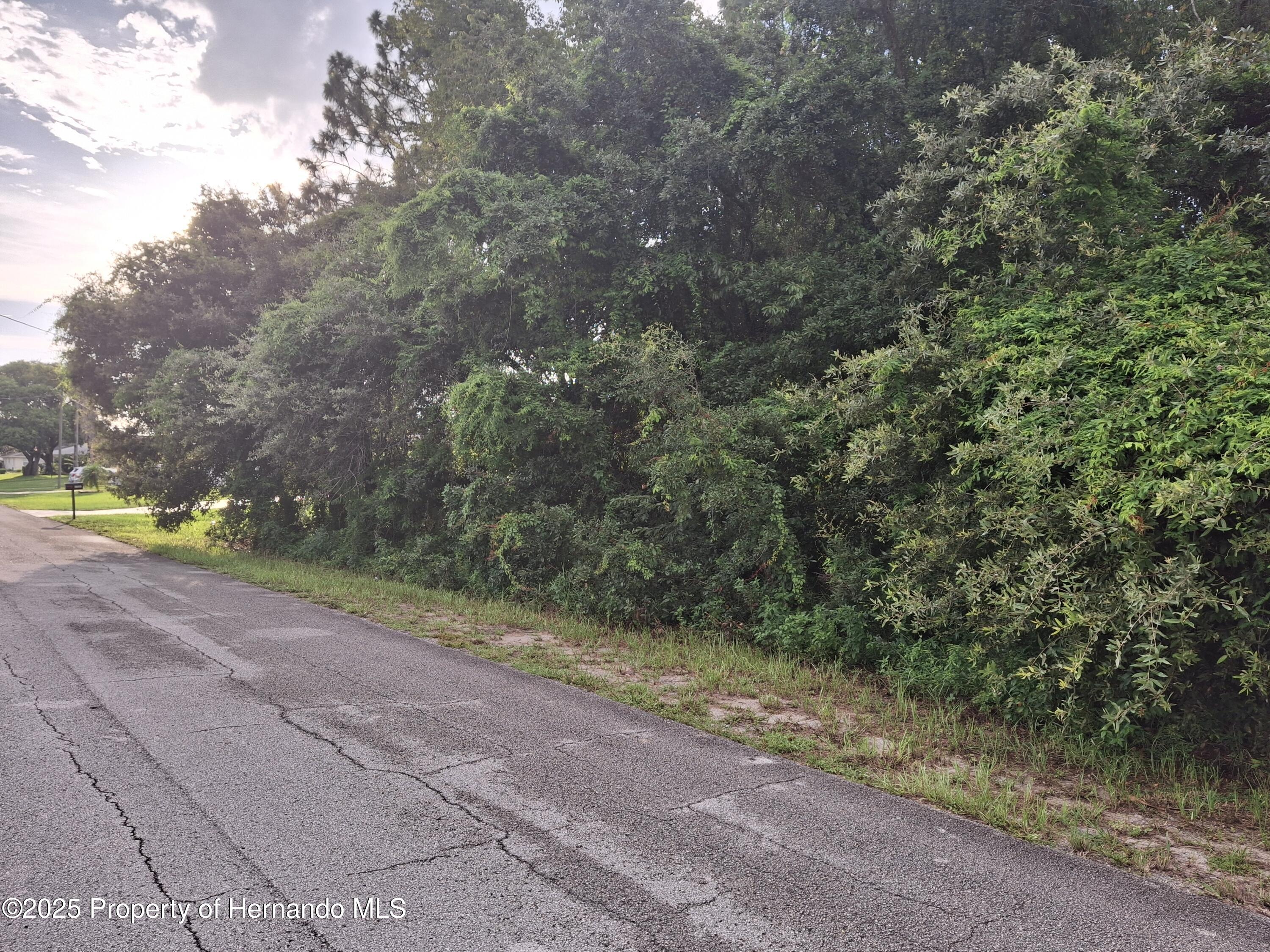 Ocala, Florida 34480, United States, 4 Bedrooms Bedrooms, ,2 BathroomsBathrooms,Residential,Active,113886