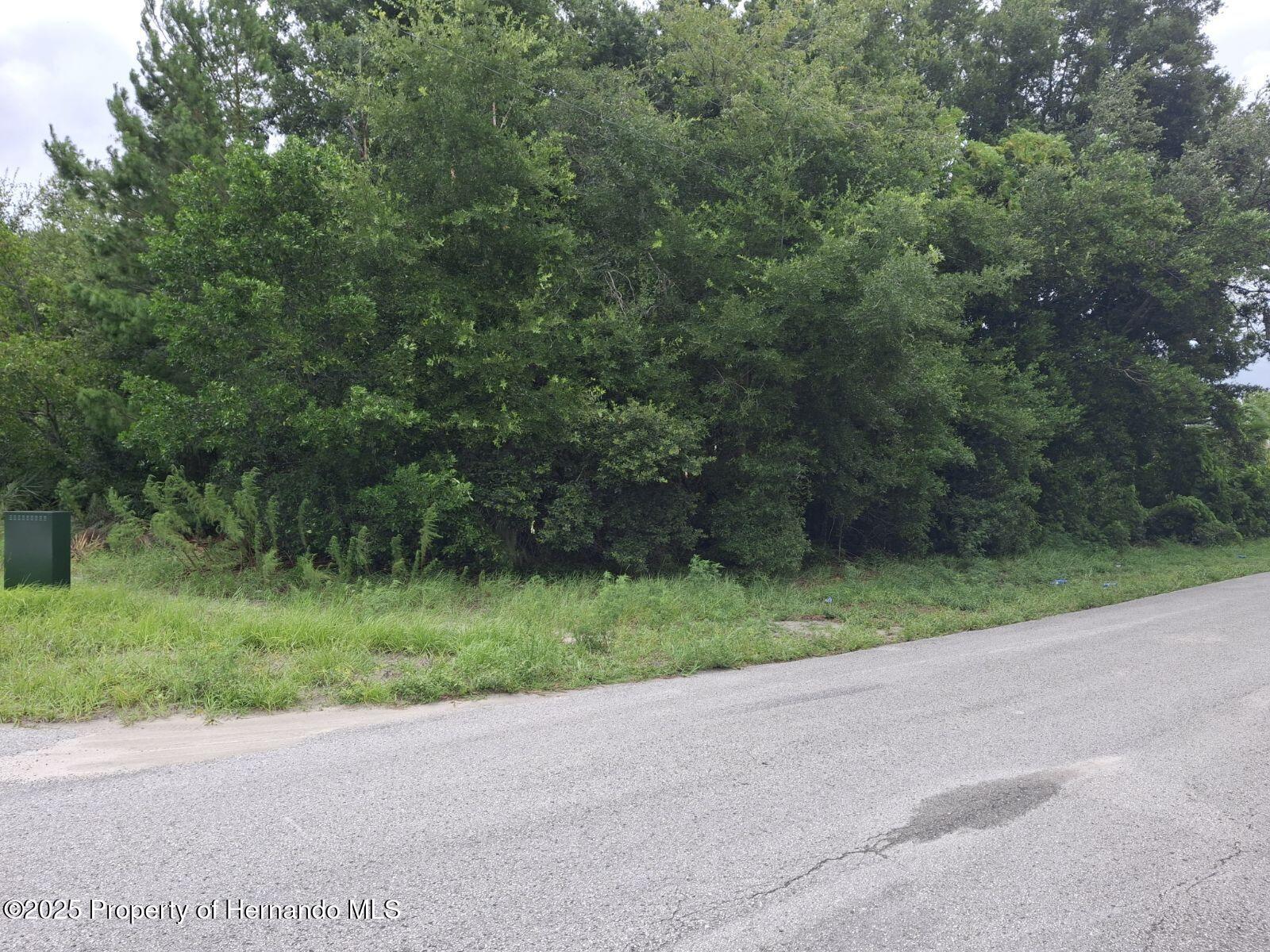 Ocala, Florida 34480, United States, 4 Bedrooms Bedrooms, ,2 BathroomsBathrooms,Residential,Active,113886