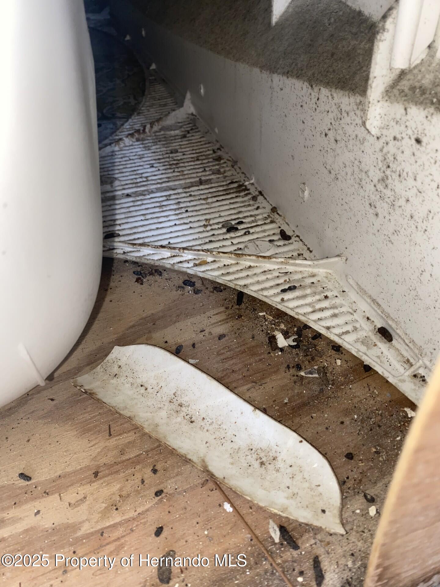 Ocala, Florida 34480, United States, 4 Bedrooms Bedrooms, ,2 BathroomsBathrooms,Residential,Active,113886