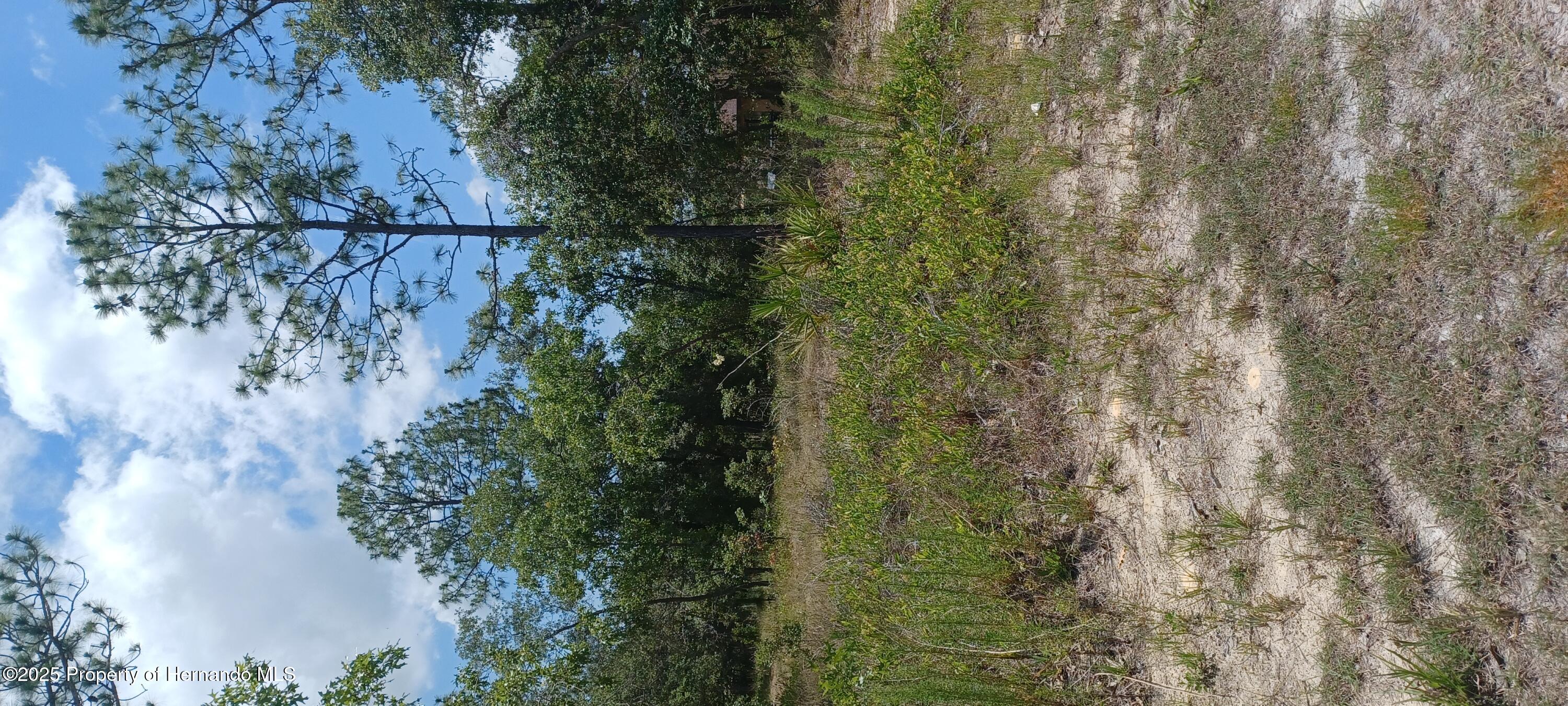 Ocala, Florida 34480, United States, 4 Bedrooms Bedrooms, ,2 BathroomsBathrooms,Residential,Active,113886