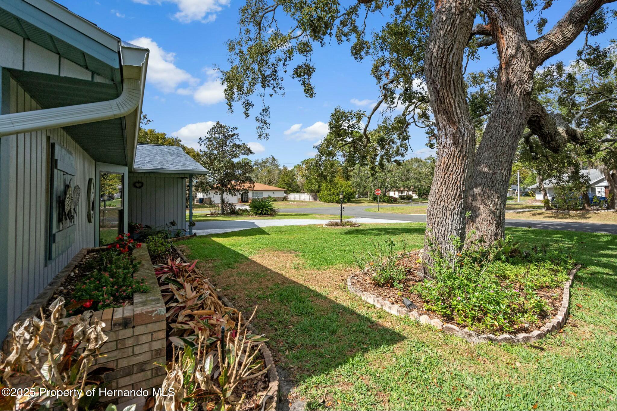 8264 Arab Lane, Spring Hill, Florida image 50