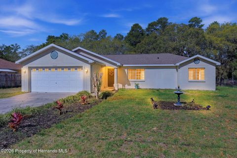 13039 Kittiwake Road Weeki Wachee FL 34614