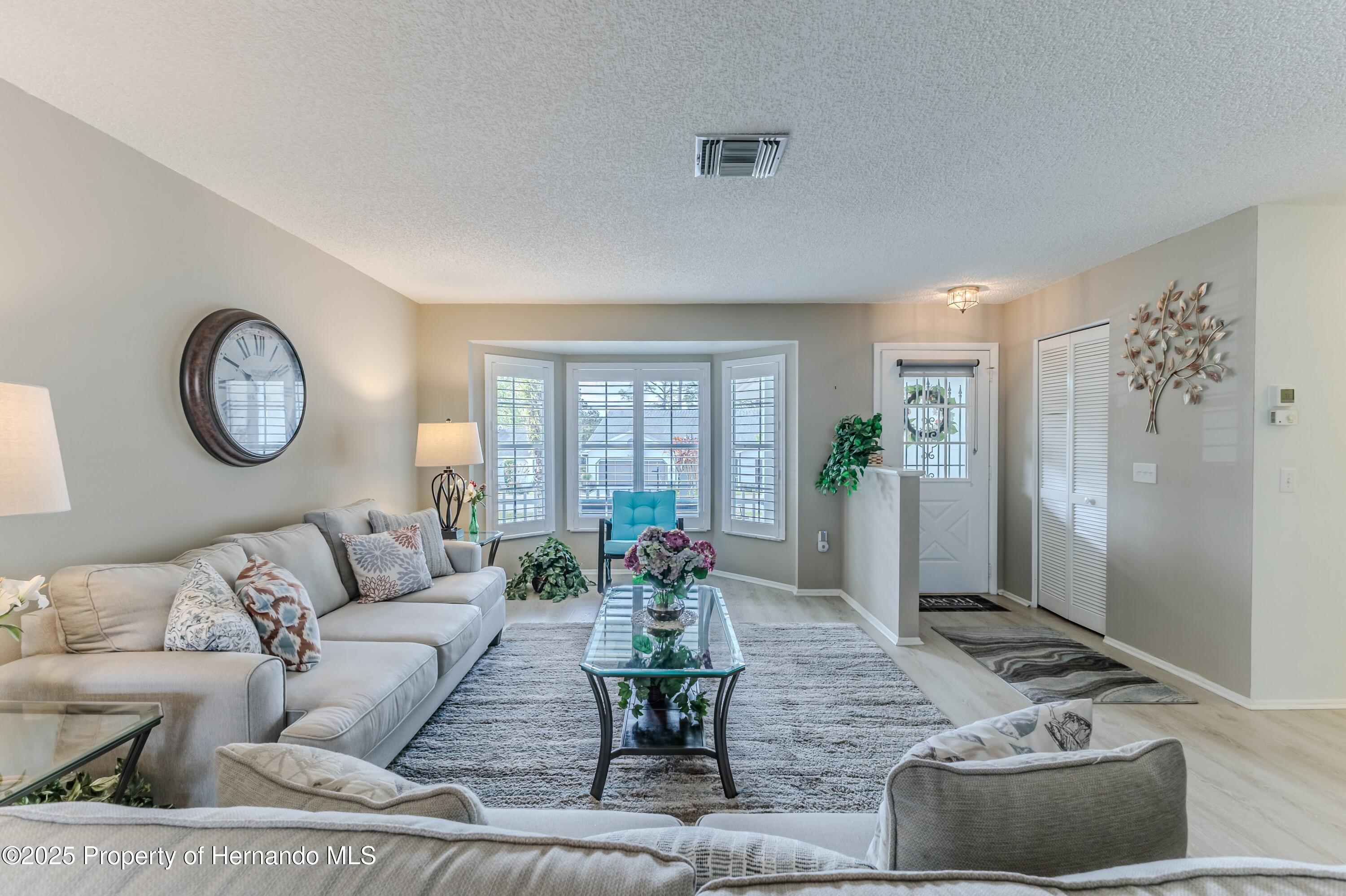 7107 Pond View Court, Spring Hill, Florida image 8