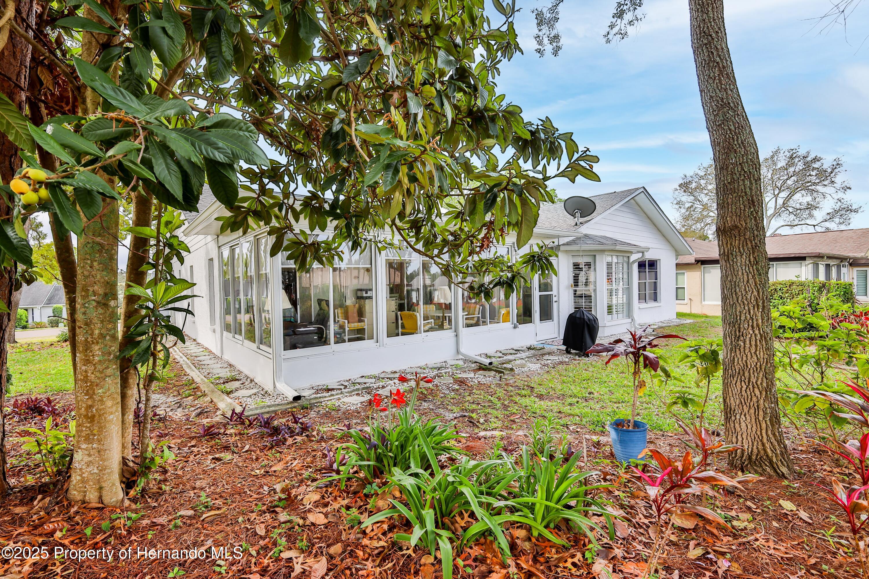 7107 Pond View Court, Spring Hill, Florida image 45