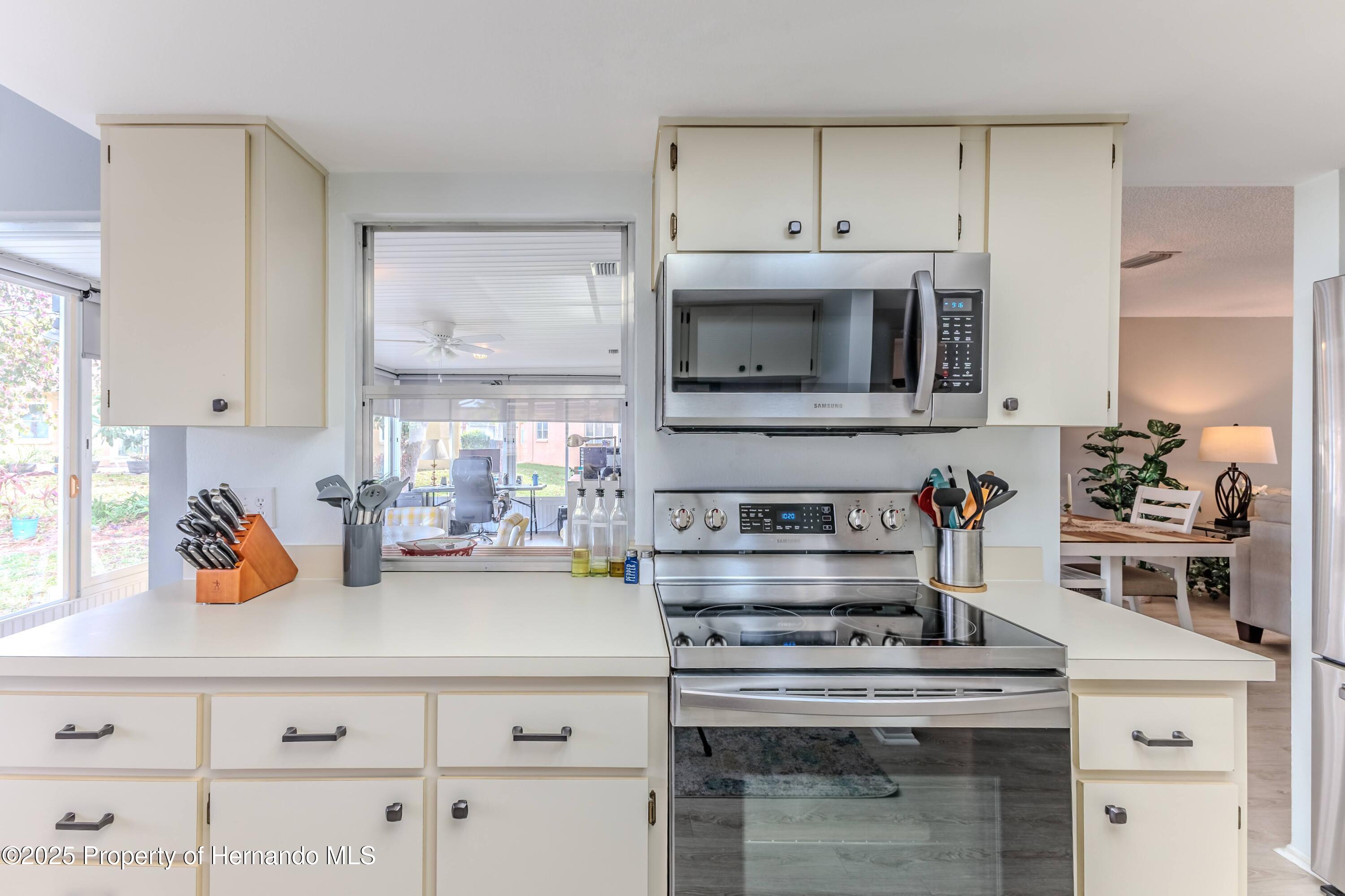 7107 Pond View Court, Spring Hill, Florida image 15
