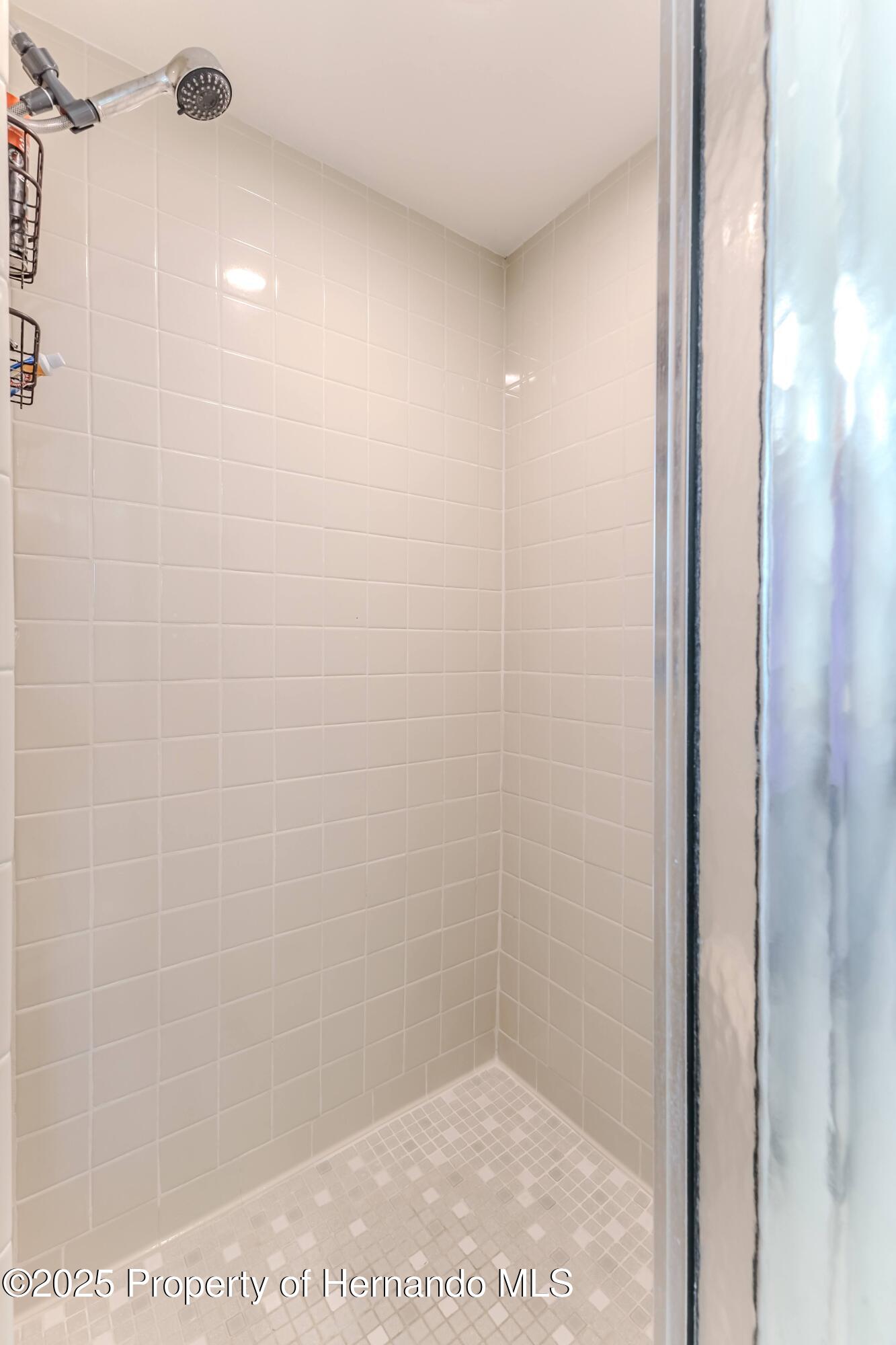 7107 Pond View Court, Spring Hill, Florida image 31