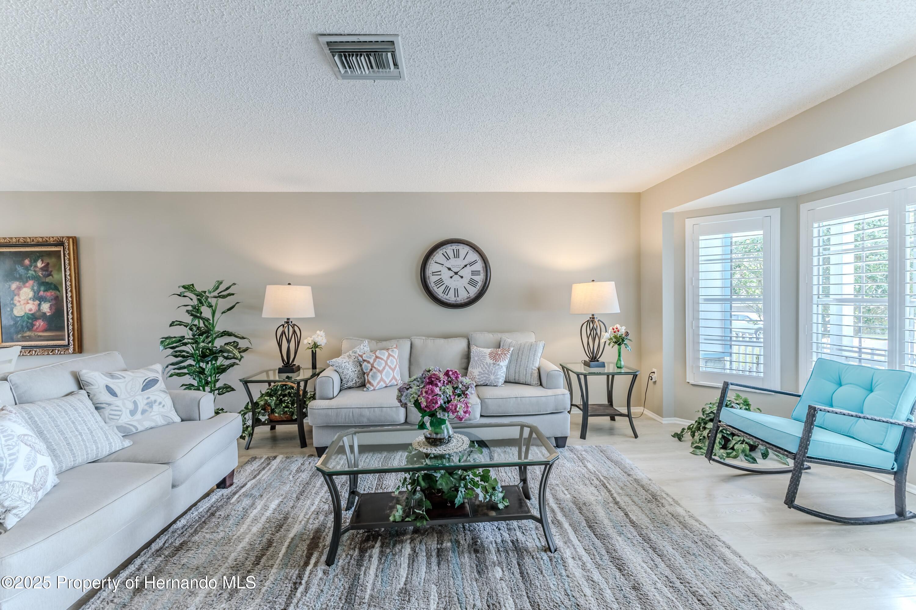 7107 Pond View Court, Spring Hill, Florida image 9