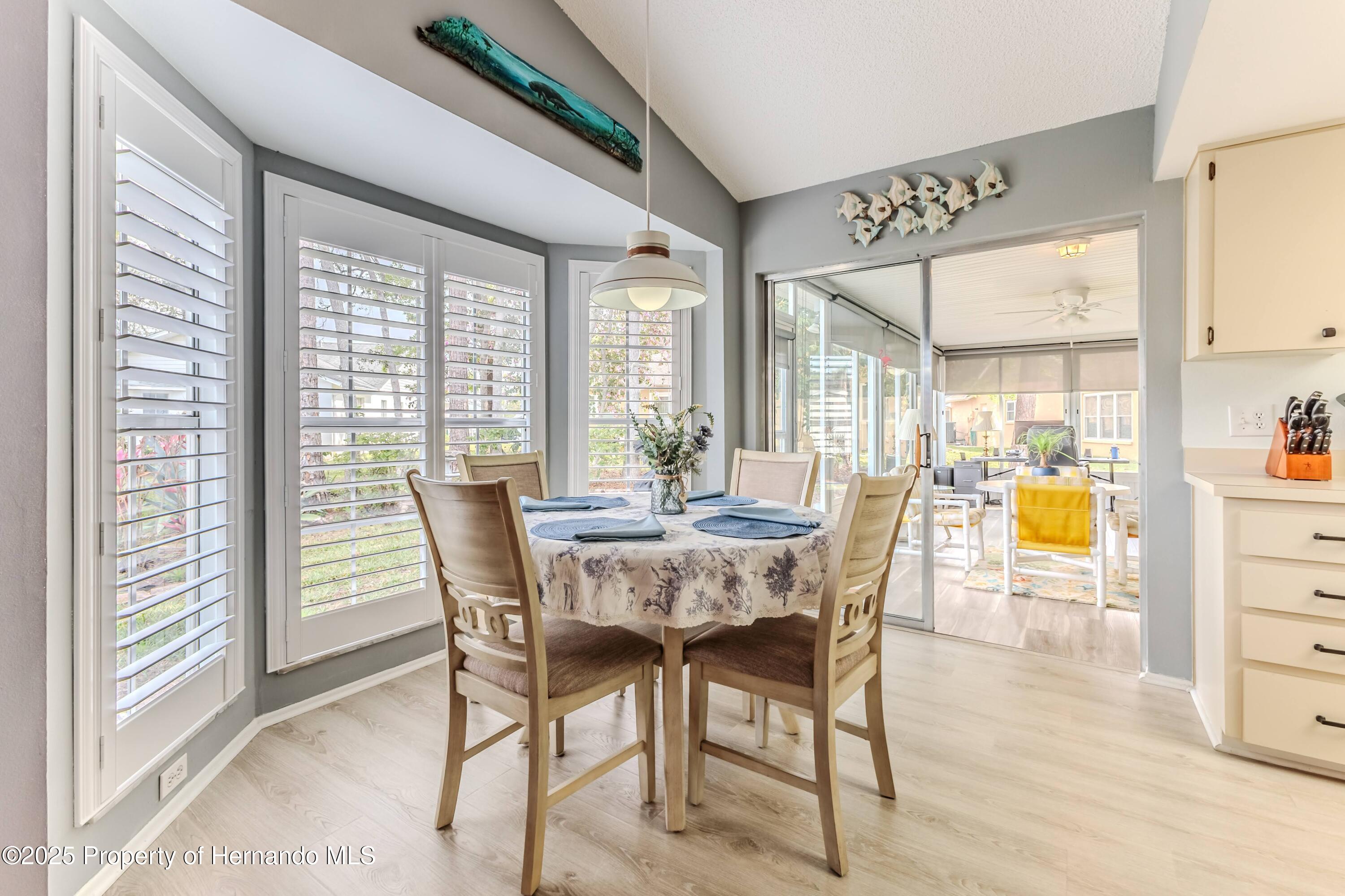 7107 Pond View Court, Spring Hill, Florida image 19