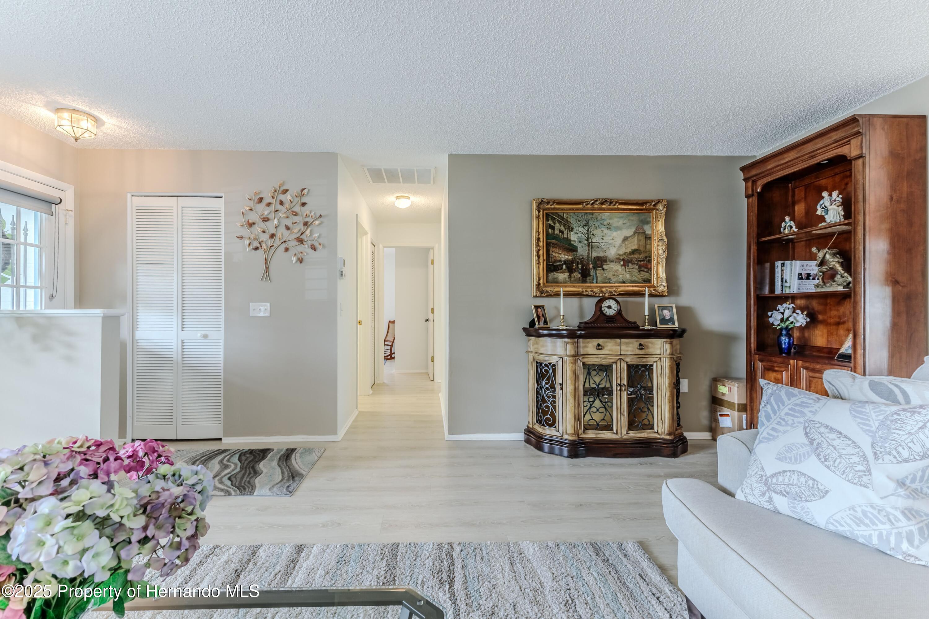 7107 Pond View Court, Spring Hill, Florida image 11