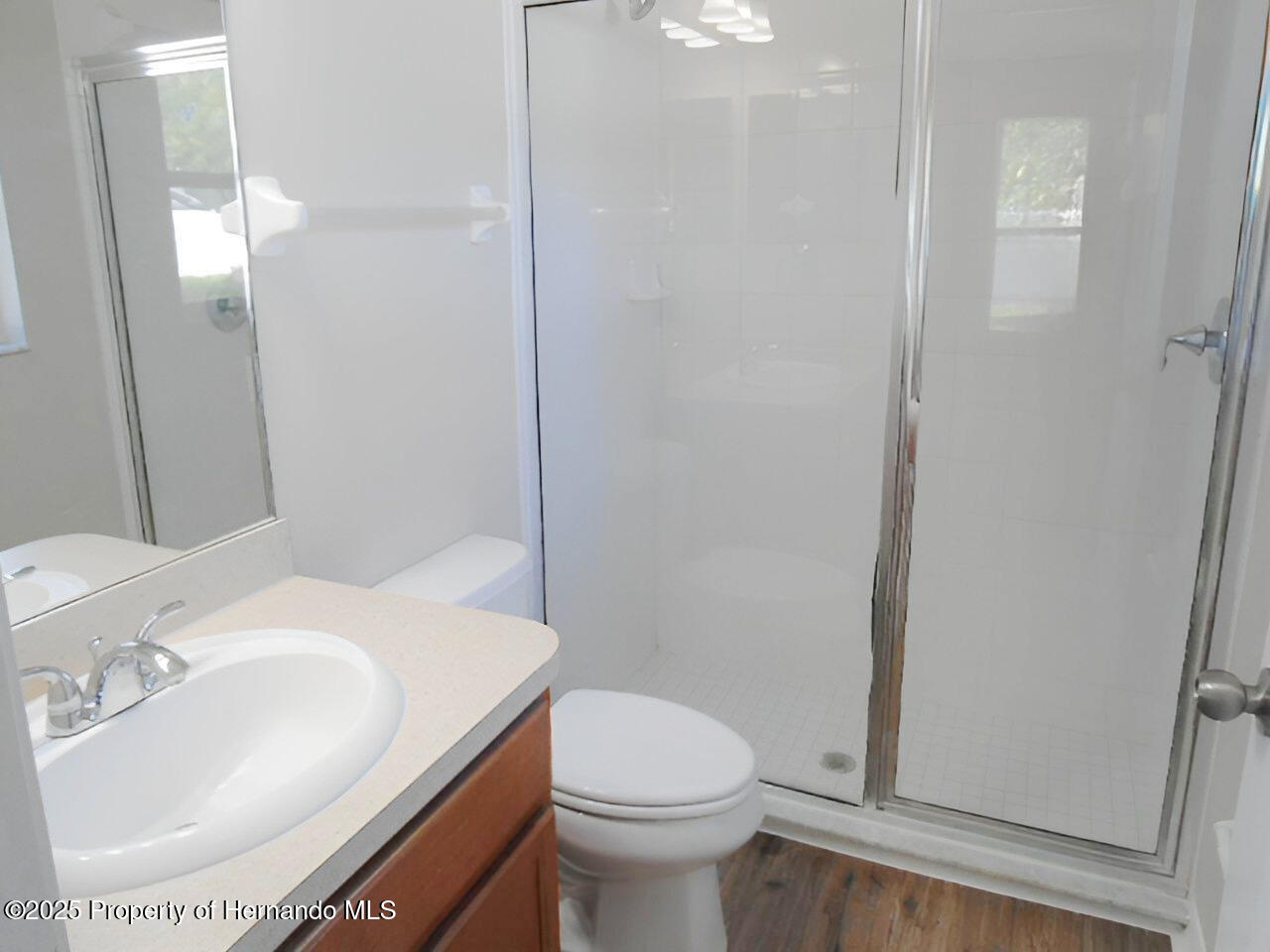 12714 Saulston Place, Hudson, Florida image 8