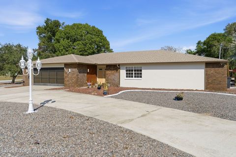 Homes For Sale - 8123 River Country Drive<br/> Weeki Wachee, FL 34607