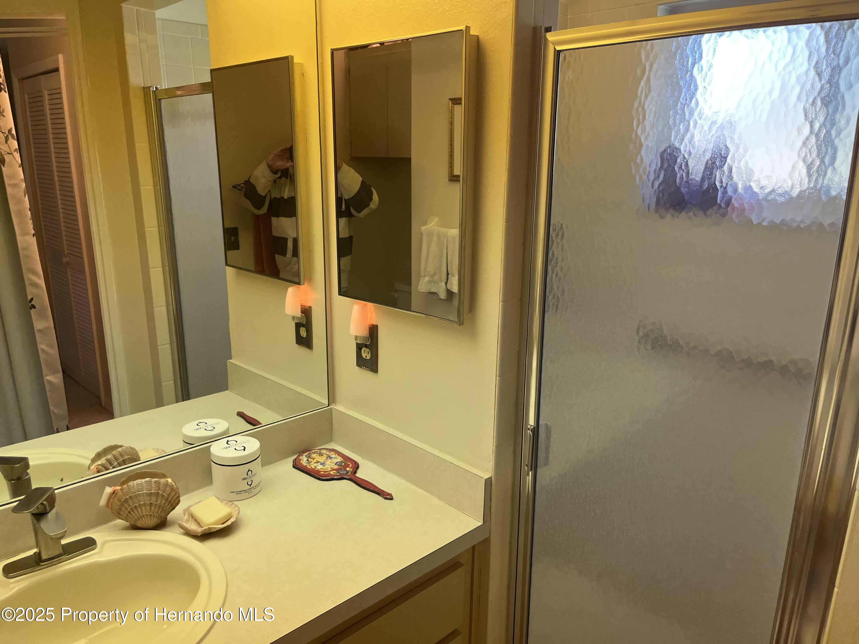 7375 Crestwood Drive, Spring Hill, Florida image 32