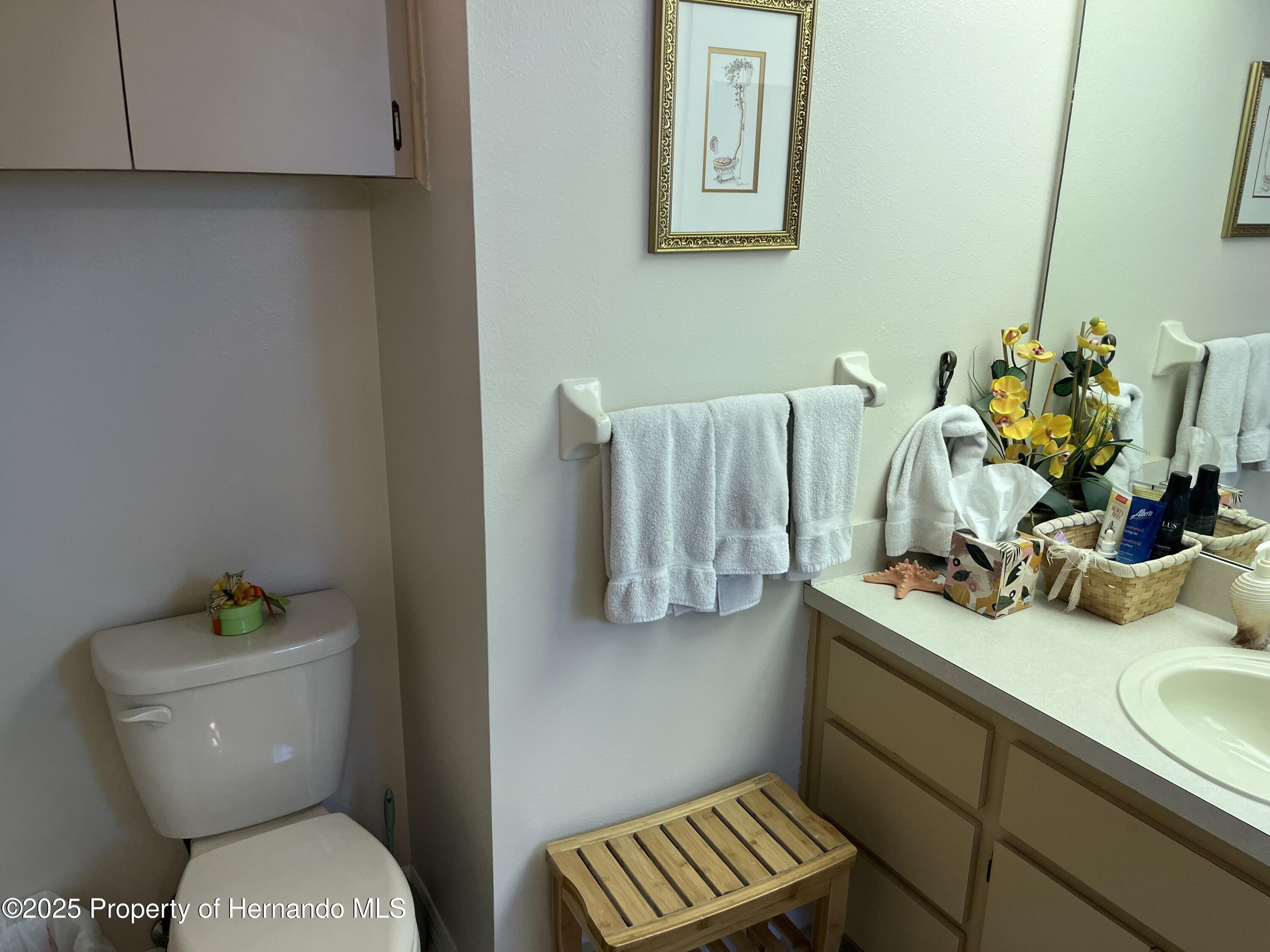 7375 Crestwood Drive, Spring Hill, Florida image 31