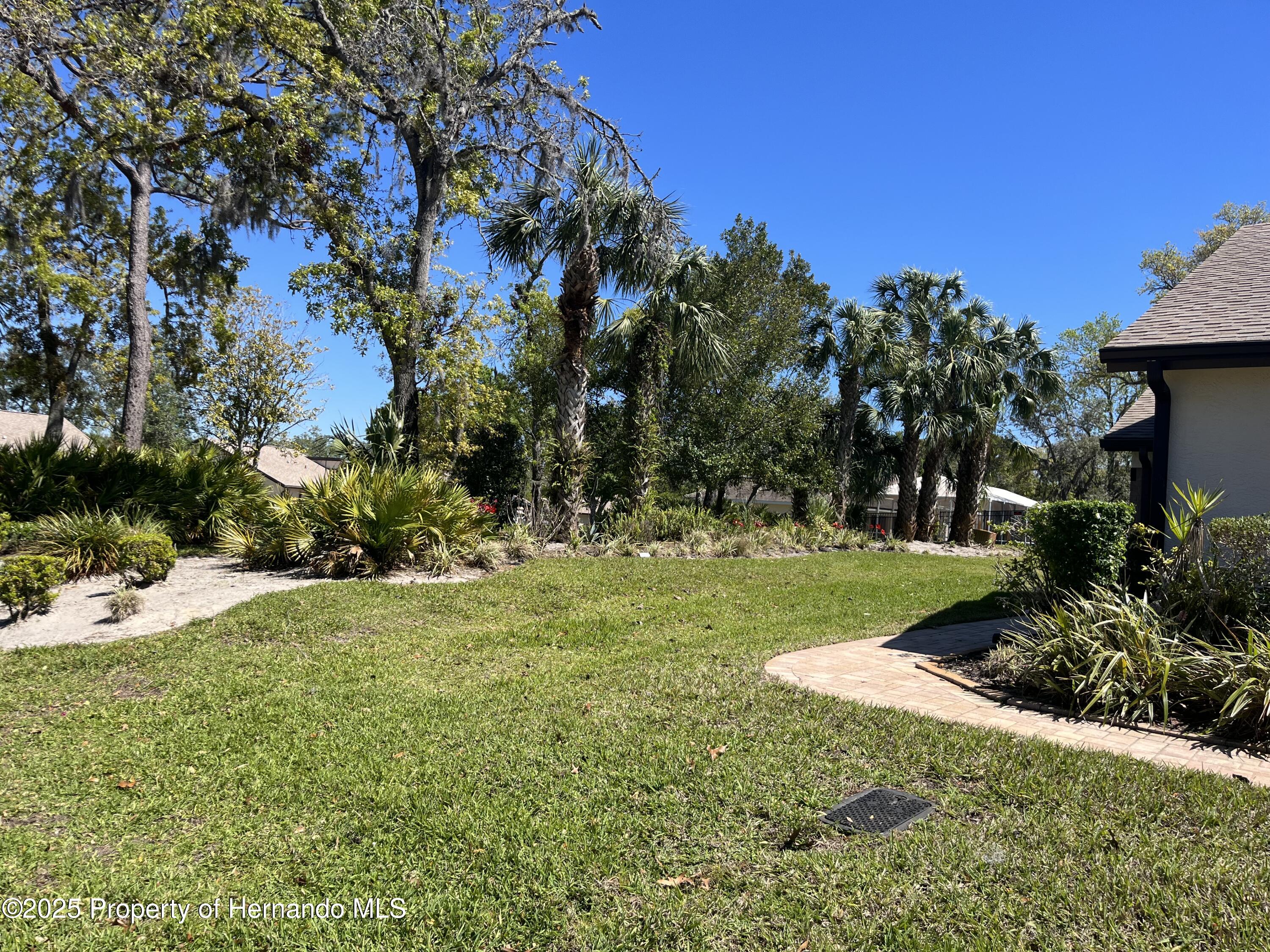 7375 Crestwood Drive, Spring Hill, Florida image 5