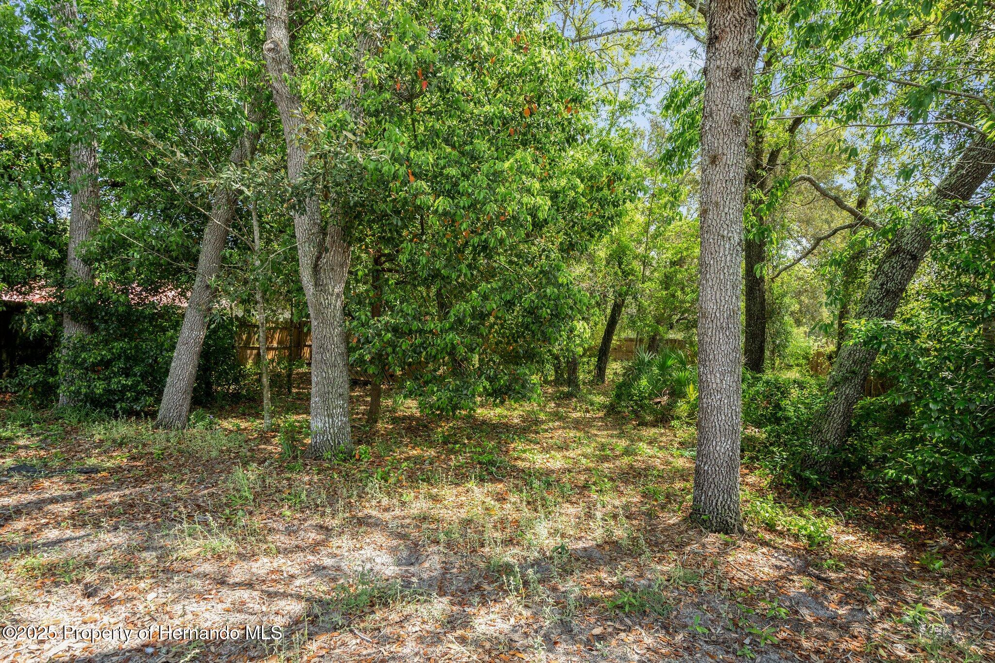 7160 W Porpoise Drive, Homosassa, Florida image 4