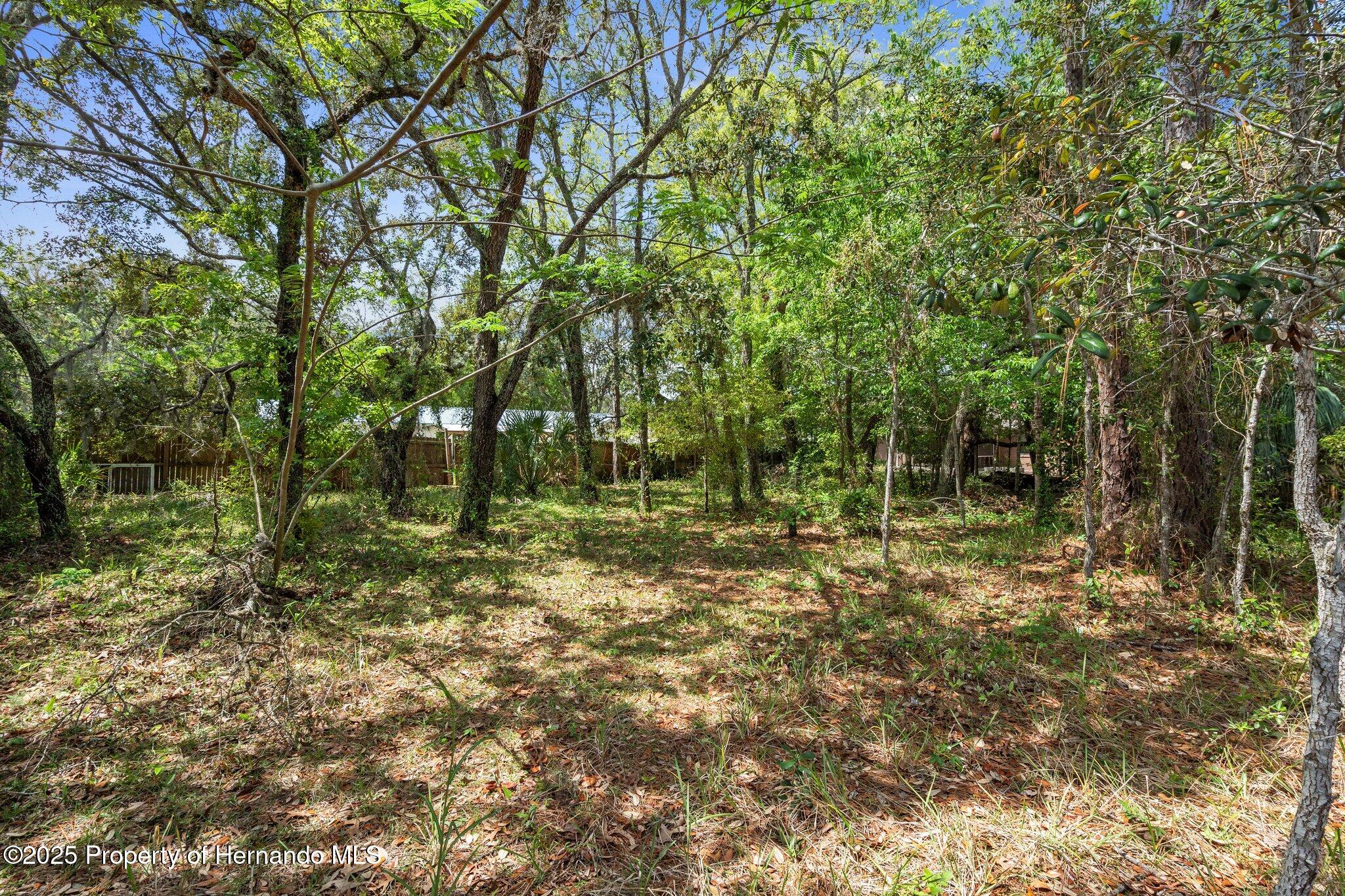 7160 W Porpoise Drive, Homosassa, Florida image 6