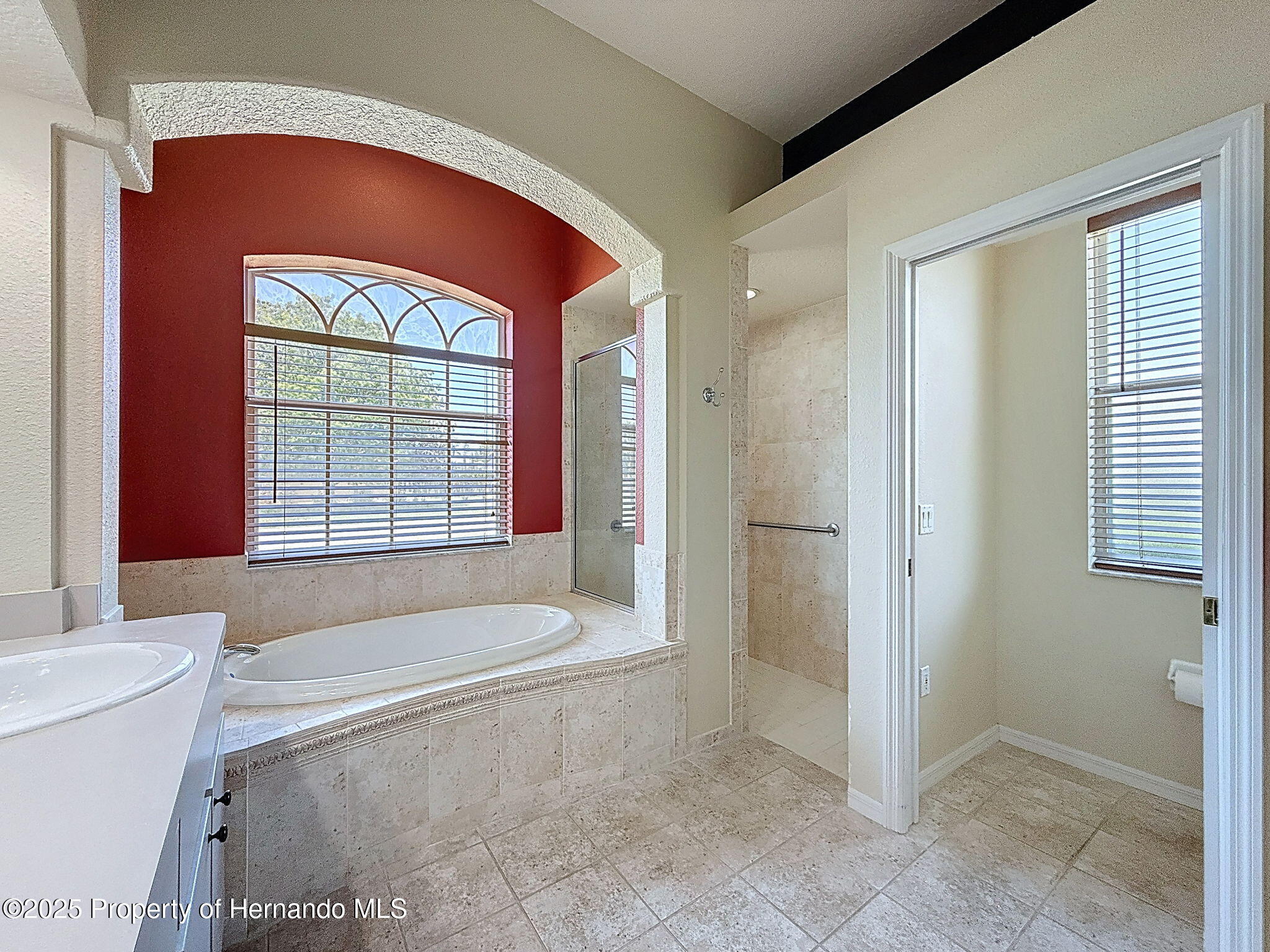 3464 Misty View Drive, Spring Hill, Florida image 24